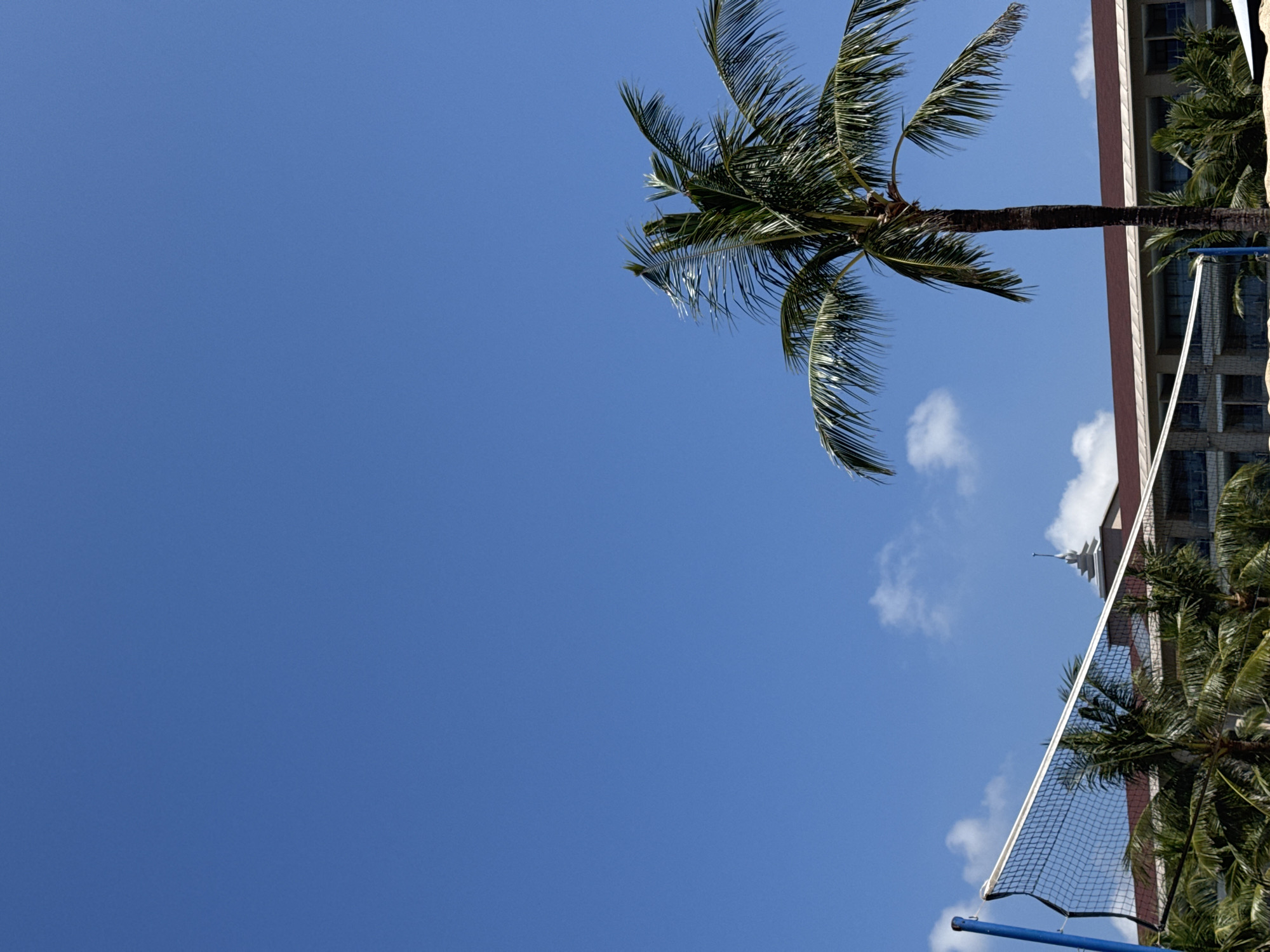 A clear, bright blue sky fills the majority of the frame, providing a backdrop for a scene featuring elements of a tropical setting and architectural structure. In the upper-right quadrant, a palm tree is prominently displayed, its fronds extending upwards and slightly to the left. Adjacent to the palm tree, a tall building with multiple stories and windows is visible, suggesting an urban or resort setting. In the lower-right corner, a volleyball net is partially visible, hinting at recreational activities. The scene is reminiscent of a coastal or tropical location, potentially a resort or urban area with palm trees and recreational facilities. The city and state are unknown.