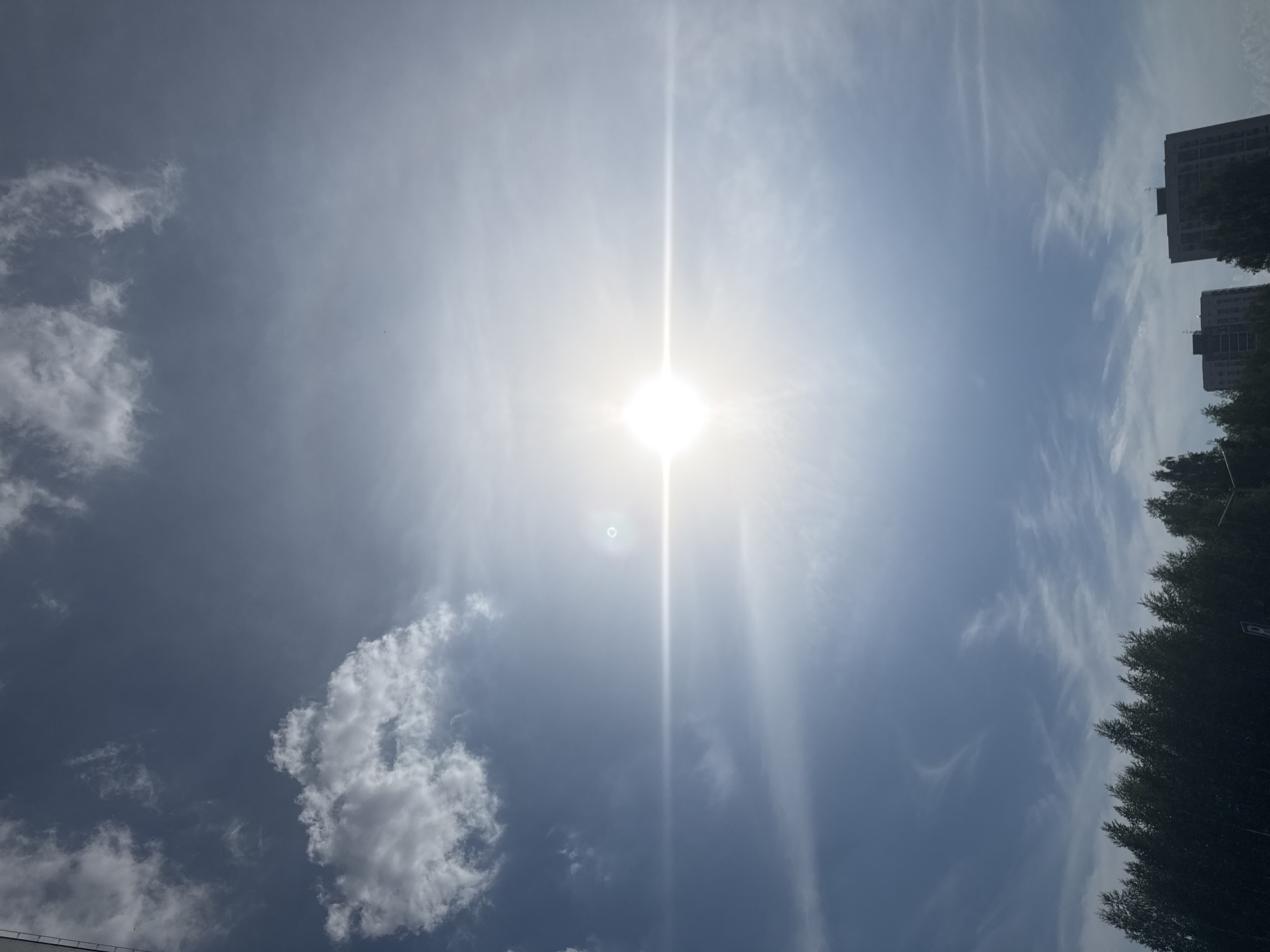 The image depicts a sky with scattered clouds and the sun shining brightly, causing a lens flare effect. In the foreground, the tops of dark green trees are visible, and behind them are two tall residential buildings. The scene appears to be set in the city of Koltsovo, Russia, given the architectural style of the buildings and the surrounding vegetation.