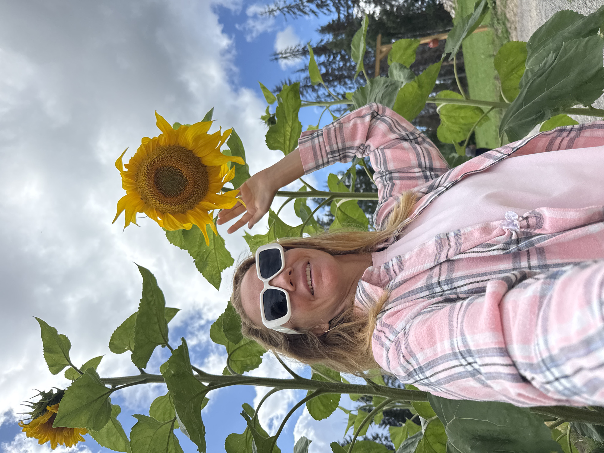 A blonde woman wearing white-framed sunglasses, a pink and grey plaid unbuttoned shirt over a pink t-shirt, and a gold hoop earring is captured in a selfie. She is standing outdoors amidst a field of tall sunflowers. Her right hand is raised, reaching towards a large sunflower. The background consists of a partially cloudy sky, a forest of tall evergreen trees, and some wooden structures, suggesting a rural or park-like setting. The specific location within Khankanmyaki, Russia, is not discernible from the image itself.