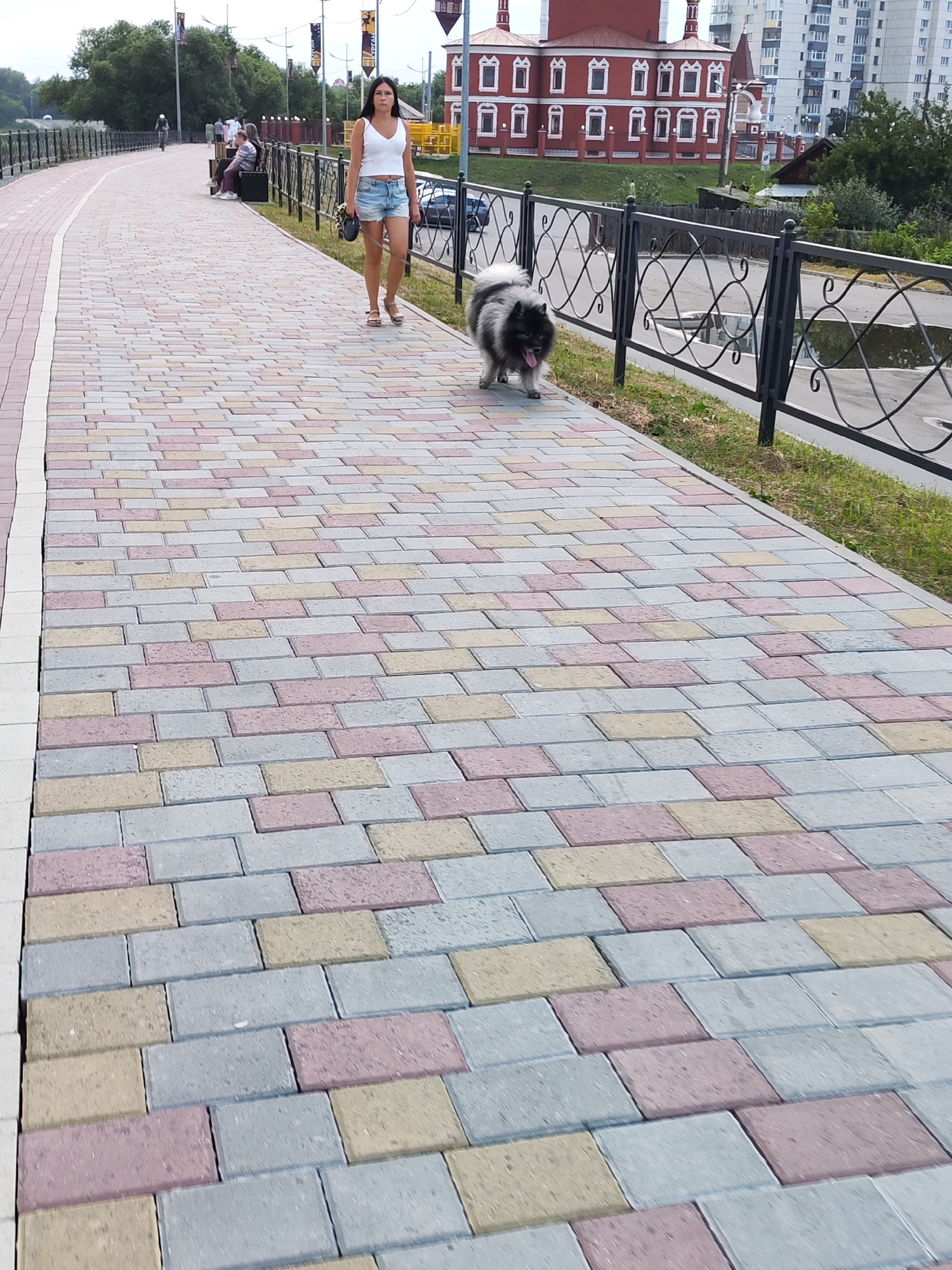 An outdoor, eye-level shot shows a woman and a dog walking on a paved walkway in an urban setting. The walkway is constructed of multi-colored paving stones, predominantly gray, pink, and yellow. A black metal fence runs along the right side of the walkway, separating it from a street or grassy area. Behind the fence, a red building with white window frames and a white building are visible, along with trees and sky. The woman, wearing a white tank top and denim shorts, is holding a leash attached to a medium-sized, fluffy gray dog that is walking ahead of her. The dog has its tongue out. In the background, other people are visible sitting on a bench and riding a bicycle.