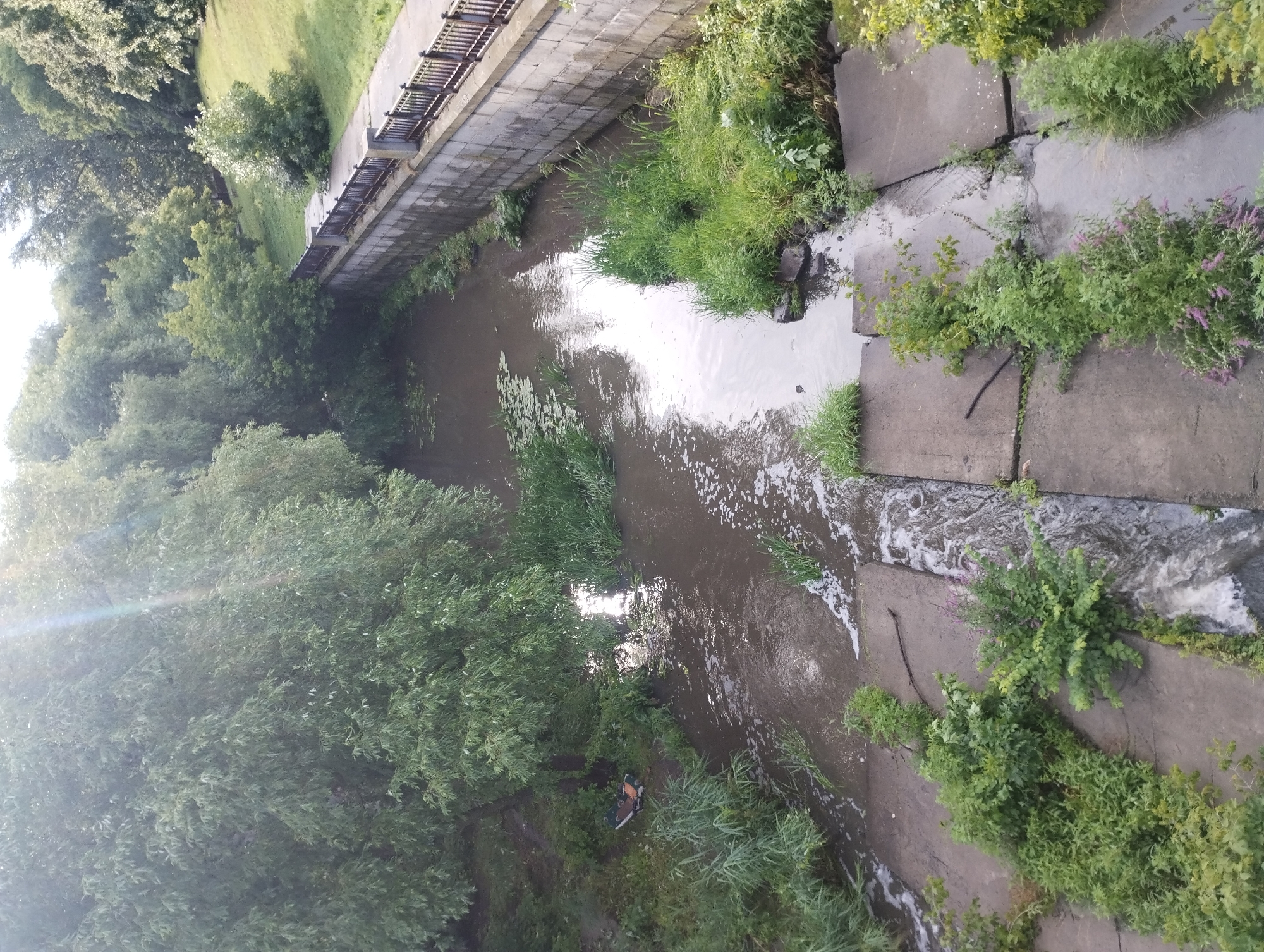 The image depicts a canal with muddy water flowing through an urban park in Sumy, Ukraine. The canal is lined with concrete walls and a metal railing on the right side, separating it from a paved walkway and a grassy slope. Lush green trees and vegetation surround the canal, with some trees overhanging the water. On the left bank of the canal, near the trees, a multi-colored shoe is visible on the ground, next to some dense green foliage. The water reflects the sunlight, creating bright spots on the surface. The canal floor appears to be constructed of large concrete slabs, with some vegetation growing in the cracks and edges. The overall scene suggests a natural setting within a developed urban environment, possibly a park or a recreational area.