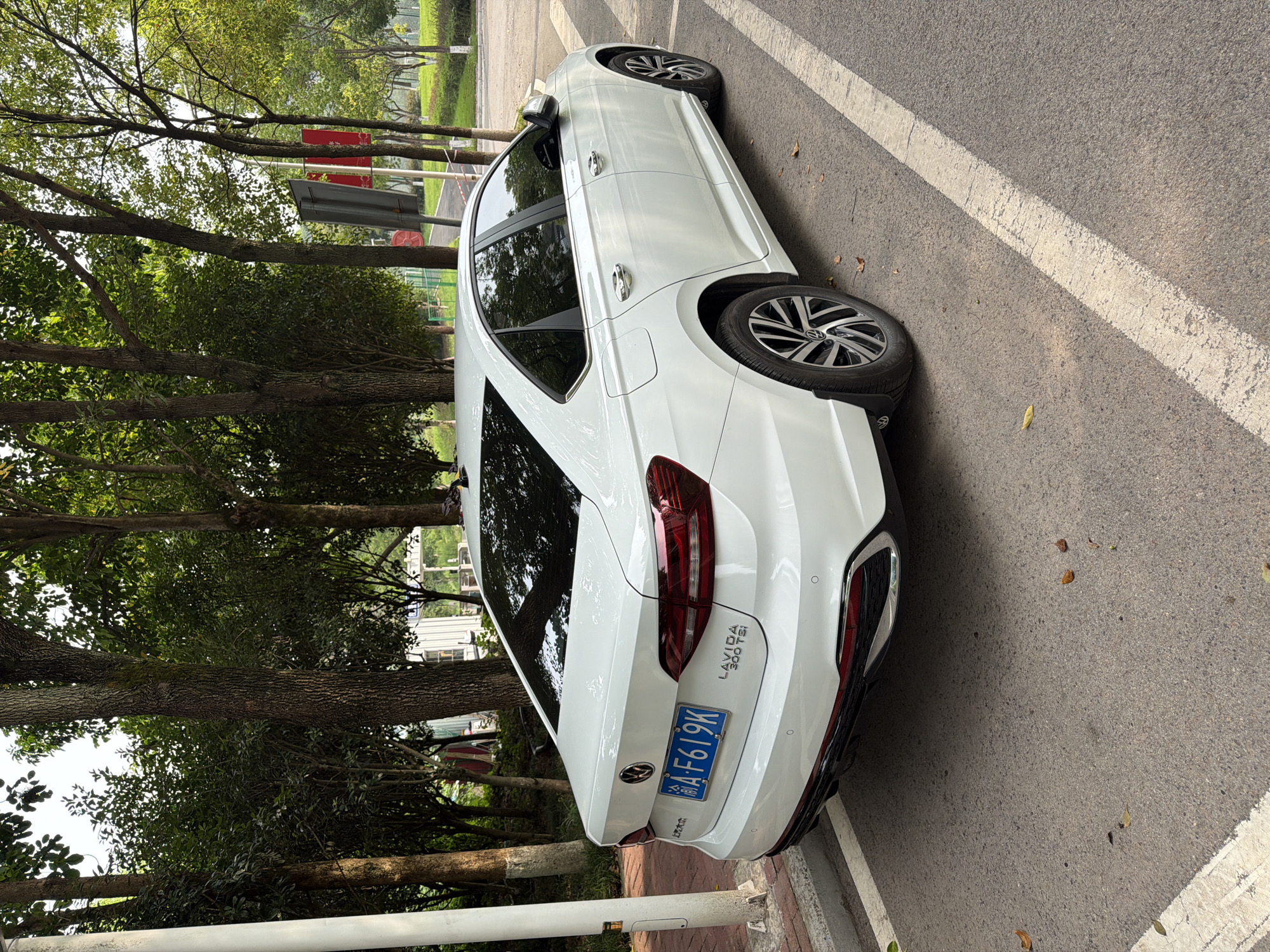 A white Volkswagen Lavida sedan is parked on an asphalt street, adjacent to a sidewalk and a row of trees. The car is viewed from the rear-left, revealing its license plate, which reads "A F619K" and has Chinese characters above it. The car's taillights are red and wrap around the rear fenders. The tires are black with multi-spoke silver rims. In the background, several mature trees with full green foliage line a paved walkway. There are also some buildings visible behind the trees. The overall environment suggests an urban or suburban park setting. The image appears to have been taken in the city of Jiangjin, China, based on the license plate information.