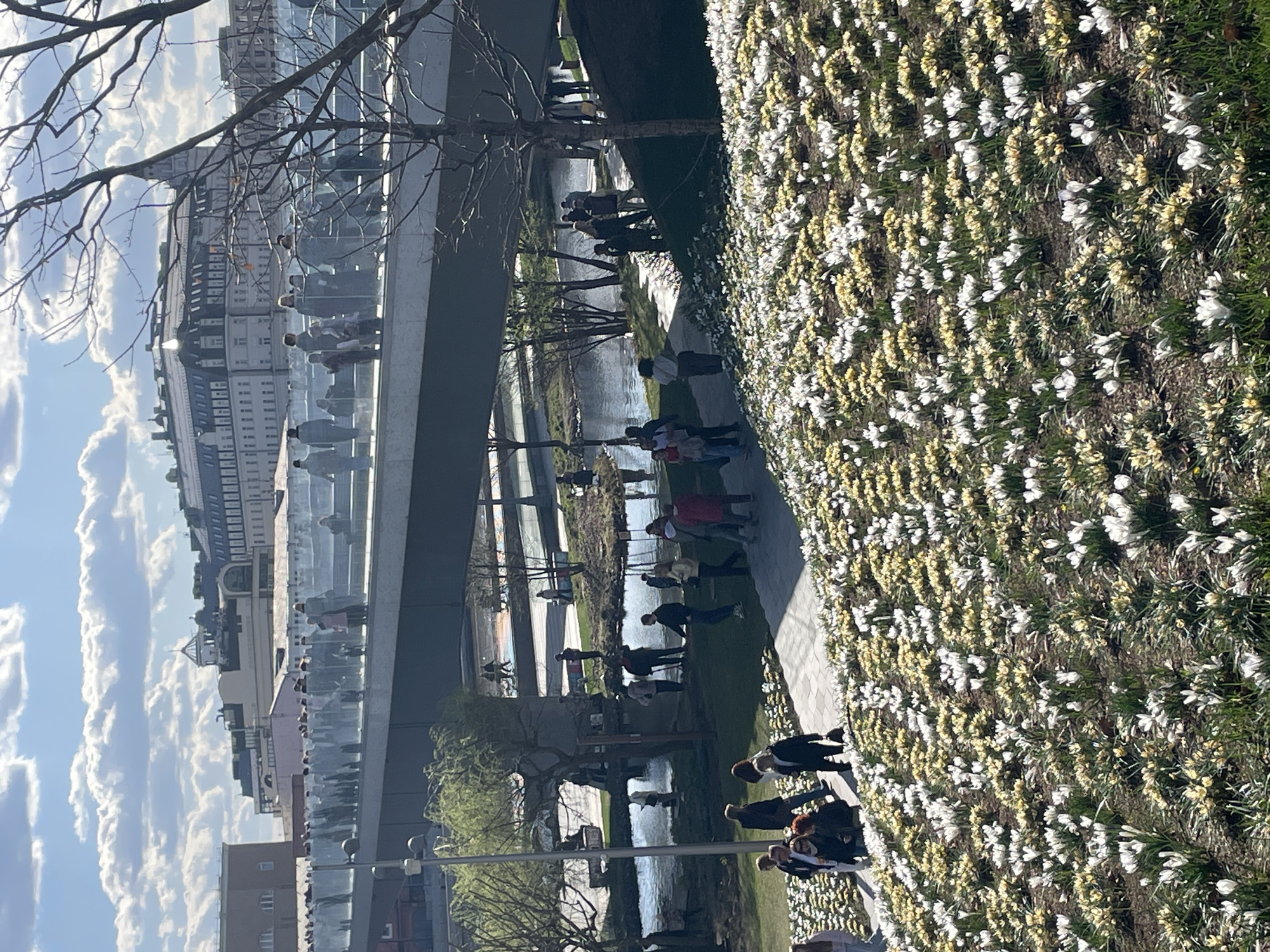 The image shows a scene in Zaryadye Park, Moscow, Russia. A large flowerbed of white and yellow flowers fills the right side of the frame. A pedestrian bridge crosses a waterway in the park, with people visible on the bridge and along the waterway's edge. A building is partially visible beyond the bridge. The sky is cloudy. People are walking and observing the scenery.