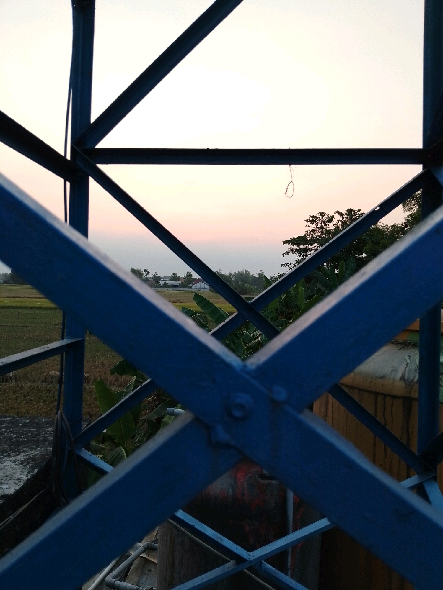 The image is a close-up shot of a blue metal structure, possibly part of a water tower or a similar industrial edifice, in Pasuruan, Indonesia. The structure's geometric framework dominates the foreground and midground, creating a layered effect that frames the background scenery. Through the gaps in the blue metal, a landscape is visible, suggesting the location is on the outskirts of the city or in a rural area.
The background depicts a serene rural scene bathed in the soft, diffused light of either sunrise or sunset. The sky is a pale gradient of white and subtle pink hues, indicating the golden hour. Below the sky, a line of trees and vegetation forms a natural horizon. Some of these appear to be banana trees with their characteristic large, broad leaves. Beyond the immediate vegetation, fields stretch out, appearing as a patchwork of green and golden-brown, likely rice paddies or agricultural land. Small structures, possibly houses or farm buildings, are scattered across the landscape, hinting at a village or settlement.
The metal structure itself is painted a vivid blue and shows signs of being a functional, outdoor installation. Bolts and joints are visible where the metal beams connect, reinforcing its industrial nature. A thin, dark string or wire hangs from one of the horizontal beams in the upper section of the frame, adding a touch of the mundane to the otherwise picturesque backdrop. The composition uses the foreground structure to create a sense of depth and perspective, drawing the viewer's eye through the architectural elements to the natural and built environment beyond. The image captures a moment of transition, marked by the soft light and the juxtaposition of industrial infrastructure with the tranquility of the Indonesian countryside.