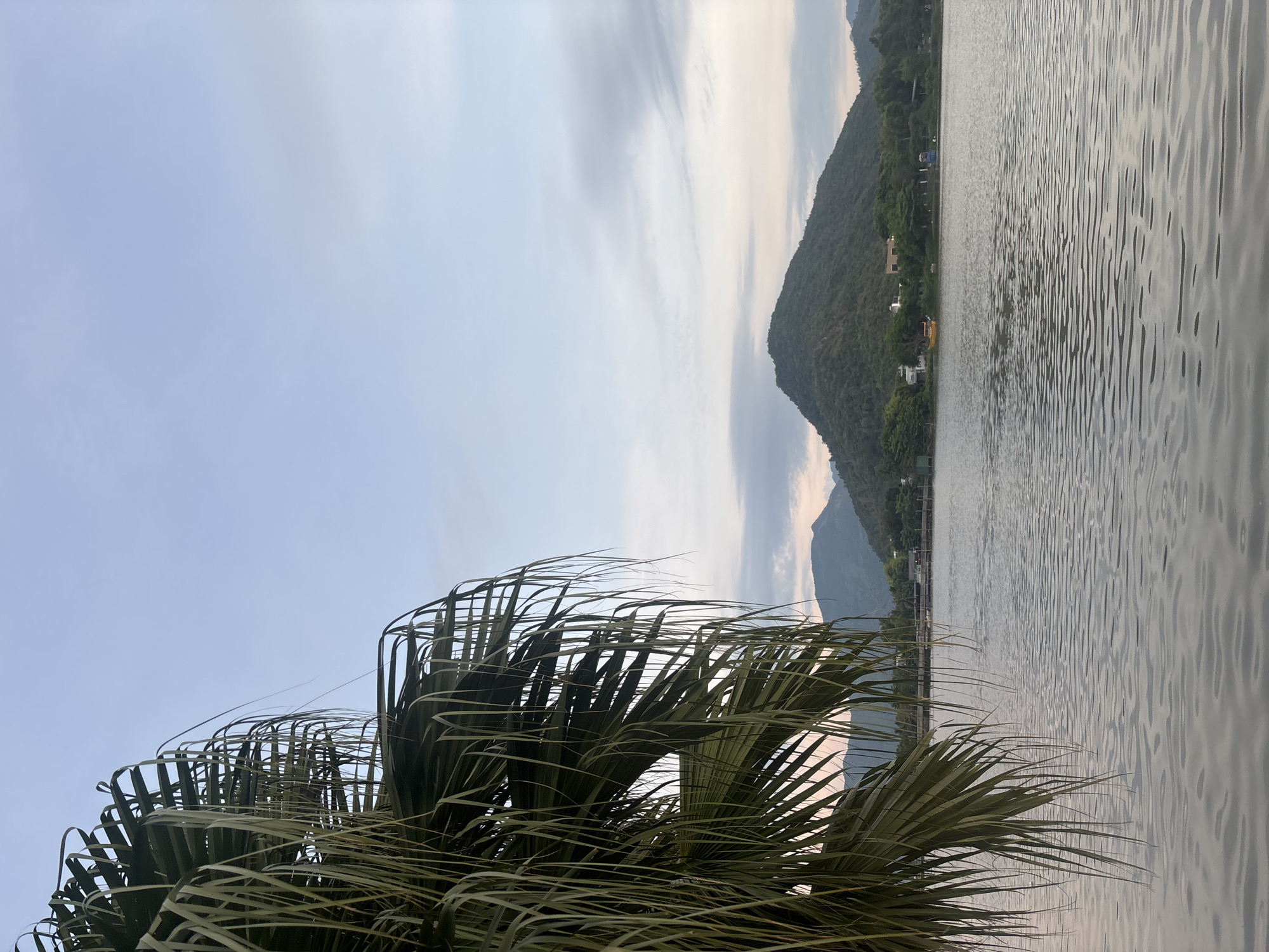 A still, wide-angle shot captures a serene lakeside scene under a pale, overcast sky. In the foreground, the fronds of a large palm tree hang down from the left side of the frame, obscuring a portion of the view. Beyond the palm, a wide, calm body of water stretches across the lower half of the image, its surface rippled by a gentle breeze. Across the lake, a lush green shoreline is dotted with trees and a few buildings, including what appears to be a small village. Behind the shoreline, a prominent, tree-covered mountain rises, its slopes softened by the distance. Further back, a range of hills fades into the hazy horizon. The overall impression is one of peaceful natural beauty.