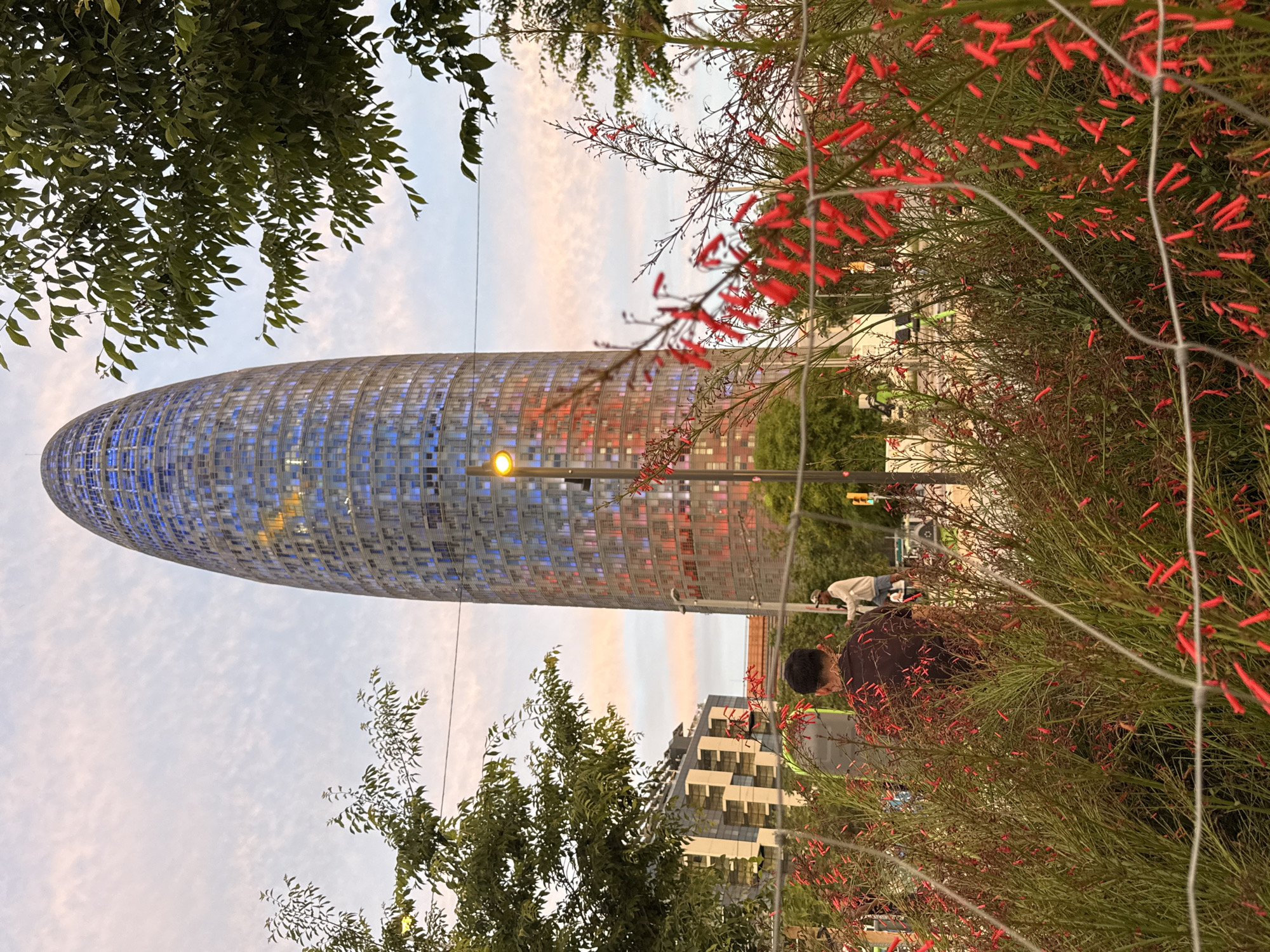 This image depicts an urban landscape in Barcelona, Spain, centered around the Torre Glòries (formerly Torre Agbar). The scene is captured at twilight, indicated by the soft, diffused light and a sky gradient ranging from pale blue at the top to a pinkish-orange near the horizon, with subtle cloud formations.
The Torre Glòries, a prominent, bullet-shaped skyscraper, dominates the background. Its multi-paneled facade exhibits a pattern of illuminated windows, primarily in shades of blue and red, with some yellow accents.
In the mid-ground, a tall, grey lamppost with a bright yellow light fixture stands to the right of the skyscraper, partially obscuring its lower section. To the left of the skyscraper, parts of a modern building with angular white and grey facades are visible.
The foreground is characterized by dense foliage comprising numerous green bushes adorned with small, vibrant red, tubular flowers. A loosely woven grey wire fence extends horizontally across the lower third of the image, appearing slightly out of focus.
Two individuals are discernible within the mid-ground. One person, with dark hair, wearing a dark short-sleeved shirt, is seen from behind, facing away, partially concealed by the red-flowered bushes in the lower-center. Further to the right and slightly behind, a second person, clad in a light-colored long-sleeved shirt and a cap, stands on a raised platform or object. Multiple power lines or cables traverse the upper mid-ground sky.