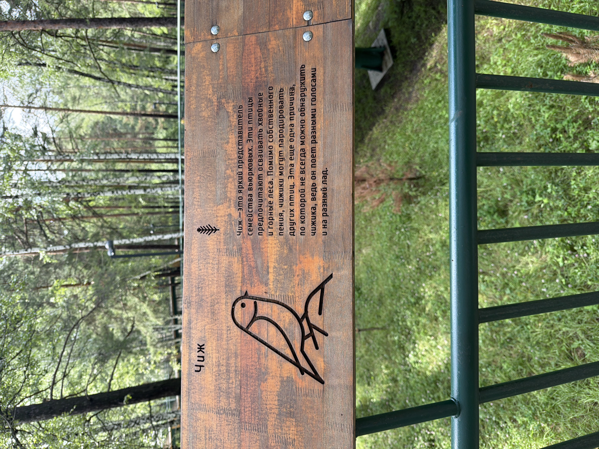 The image shows a wooden sign with text and a drawing of a bird. The text on the sign is in Russian and appears to be informational. The drawing is a simple line art representation of a small bird perched on a branch. The sign is mounted outdoors, likely in a park or natural setting, with trees and greenery visible in the background. The overall scene suggests an educational or interpretive display about local wildlife.