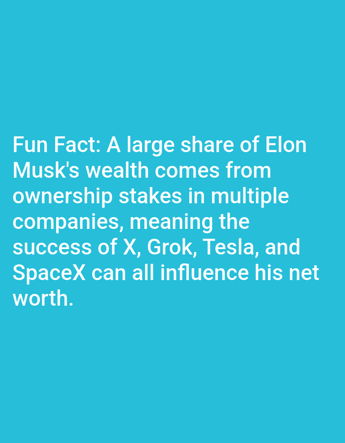 The image contains a text overlay on a solid teal background. The text reads: "Fun Fact: A large share of Elon Musk's wealth comes from ownership stakes in multiple companies, meaning the success of X, Grok, Tesla, and SpaceX can all influence his net worth." There are no people, objects, or environmental details visible in the image, other than the text itself. The image does not depict any specific location in the city of Lagos, Nigeria.