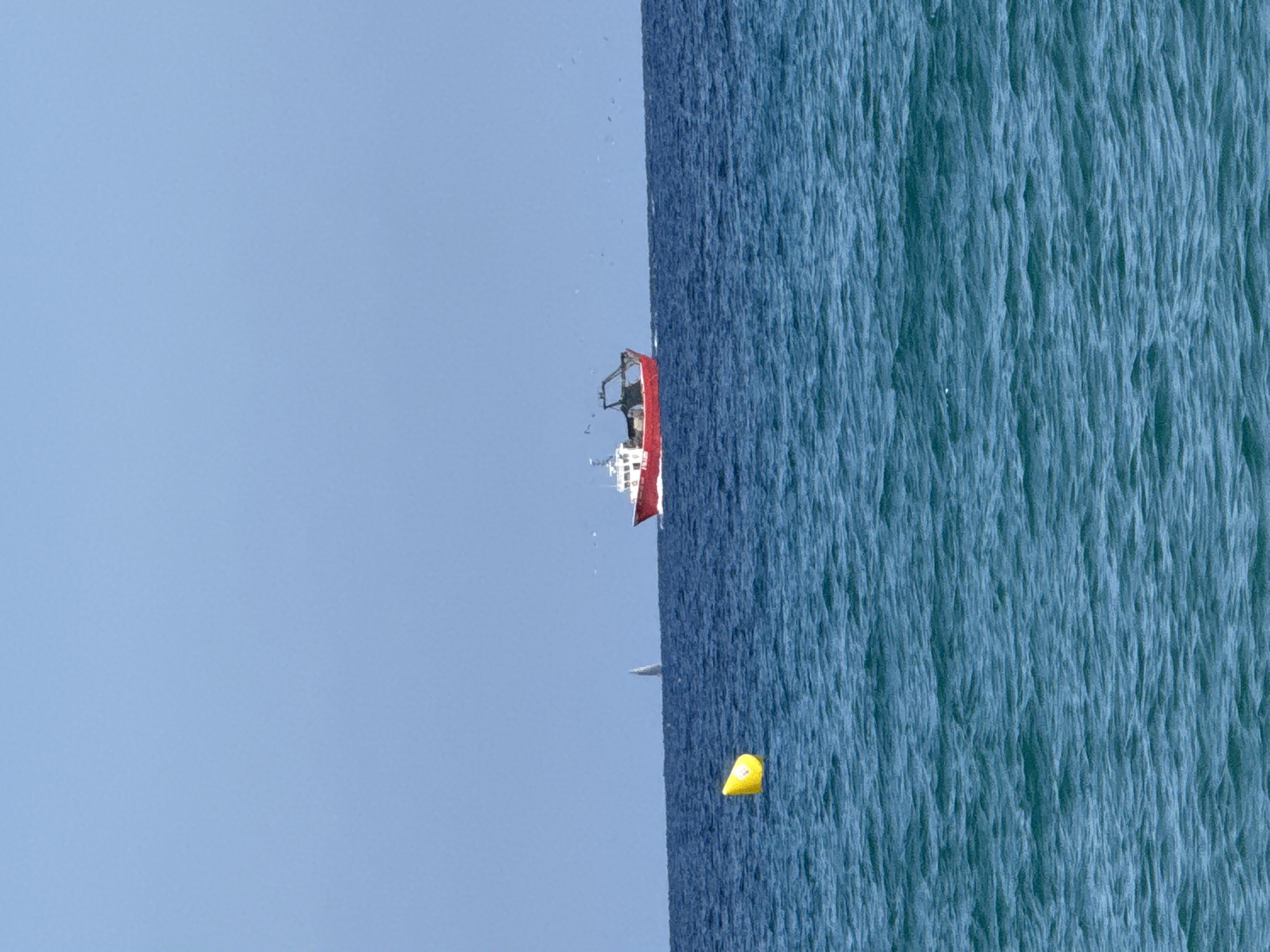 The image shows a wide view of the Mediterranean Sea from the coast of Blanes, Spain, on a clear, sunny day. The water is a deep blue with gentle ripples. In the foreground, on the left, a bright yellow buoy bobs on the surface. Further out, a small sailboat with its sail up is visible on the horizon. To the right of the sailboat, a red and white fishing boat is heading away from the viewer, its deck structure dark against the white superstructure. The sky is a pale, cloudless blue. Several small birds are scattered in the sky above the water.