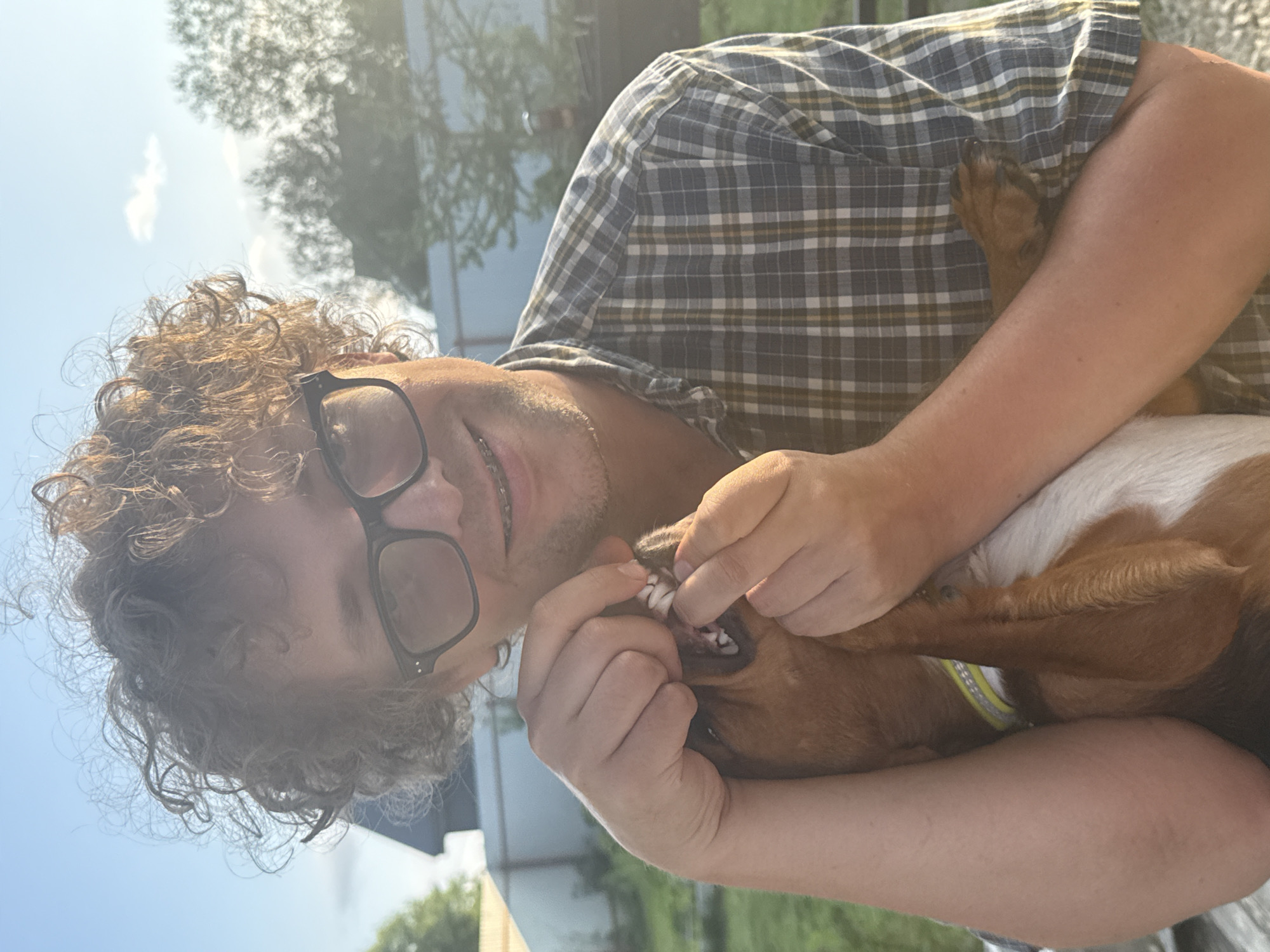 The image shows a young man with curly hair and glasses holding a small brown and white dog. He is pulling on the dog's lips to reveal its teeth. The man is wearing a plaid shirt. They are outdoors in a grassy area with a fence and trees in the background. The sun is setting, casting a warm glow on the scene. The location is not specified in the image.