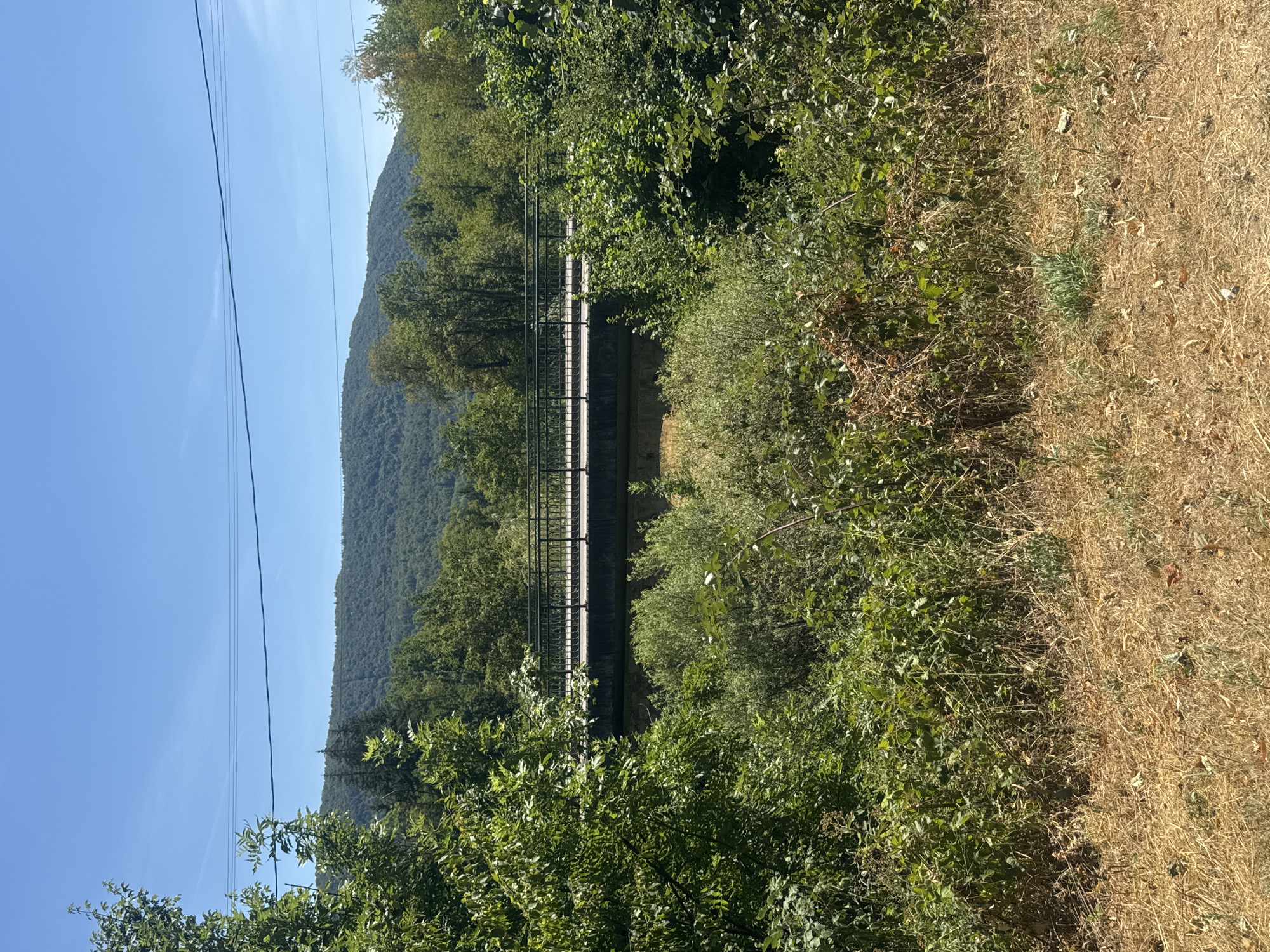 In the city of Coteaux du Lizon, France, a stone bridge spans across a dry creek bed, its concrete deck bordered by a dark metal railing. Lush green foliage, including trees and bushes, partially obscures the bridge and the ground, which is covered in dry, brown grass. In the background, rolling hills covered in dense green trees rise beneath a clear blue sky, with power lines strung across the horizon. The scene appears to be a daytime view, bathed in bright sunlight.
