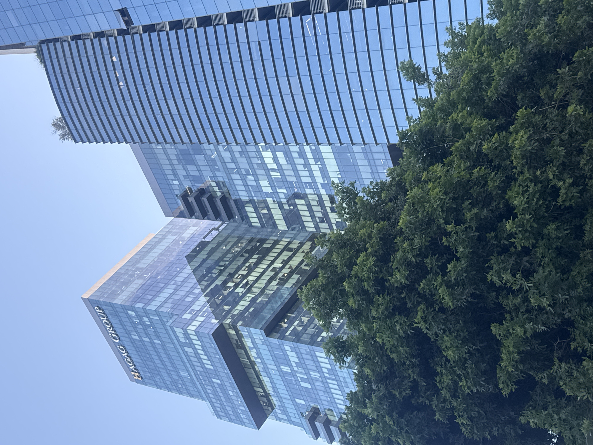 The image presents a modern urban landscape in Tel-Aviv, Israel, featuring tall, glass-faced skyscrapers partially framed by lush green foliage. The photograph appears to be taken from a low angle, looking upwards, and is oriented on its side, making the buildings appear to lean.
Two prominent multi-story buildings dominate the scene. The leftmost building (if viewed in the correct vertical orientation) displays a contemporary design with a subtly curved glass facade and horizontal banding, with a small patch of green vegetation visible on an upper level setback. The second building, positioned slightly to the right and lower, is characterized by its angular, stepped structure and extensive blue-tinted glass panels. On its visible side, the company name "HACAG GROUP" is clearly displayed in white capital letters. The reflective surfaces of both buildings catch and mirror the bright blue sky and elements of the surrounding architecture.
A dense mass of dark green trees occupies the right side of the image, providing a natural contrast to the man-made structures. The foliage partially obscures the lower and mid-sections of the buildings, adding depth to the composition.
The scene is set under a clear, bright blue sky, indicating a sunny day, likely morning or afternoon. There are no clouds visible. No people or specific activities are depicted, giving the image a static, architectural focus. The overall impression is one of a modern, vibrant city integrating nature into its urban fabric.