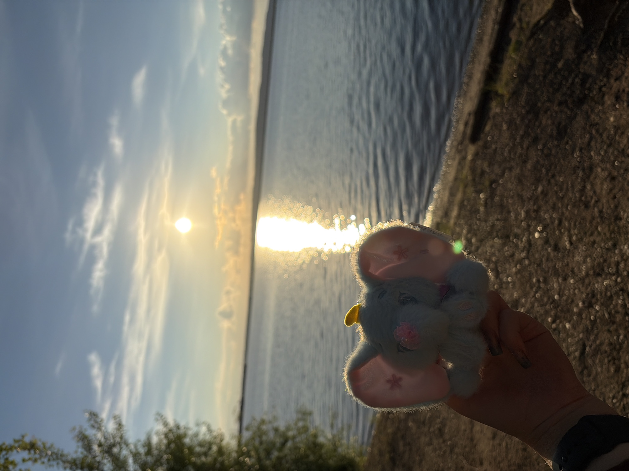 A hand holds a small, light blue stuffed elephant with large pink ears adorned with pink flower designs. The elephant has a pink nose and a yellow accent on its head. The scene is set outdoors during a sunset, with the sun casting a golden reflection on a large body of water. The foreground features a shoreline with brown gravel and sparse vegetation. A treeline is visible on the left side of the image. The sky is a gradient of blue and orange, with wispy clouds. The location is the Kama River embankment in Chaikovsky, Russia.