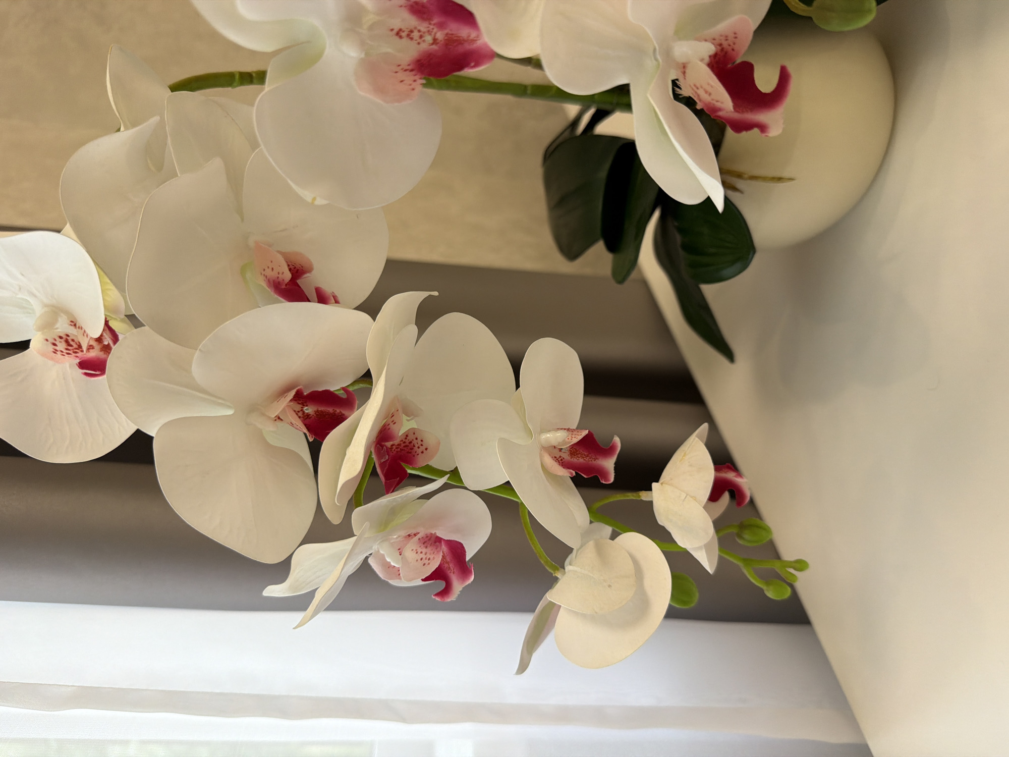 A close-up, eye-level shot showcases a cluster of white phalaenopsis orchids with deep pink centers, arranged in a cream-colored vase. The orchids are the primary focus, with their delicate petals and vibrant accents filling much of the frame. Behind the flowers, sheer white curtains hang to the left, transitioning to a darker grey curtain on the right. The orchids are placed on a white surface, possibly a table or shelf, which extends into the foreground. The background features a softly lit, textured wall in a neutral tone. The lighting appears natural, likely from a nearby window, casting gentle highlights and shadows on the floral arrangement. The scene suggests an indoor setting, possibly a home or a retail space, with no people present.