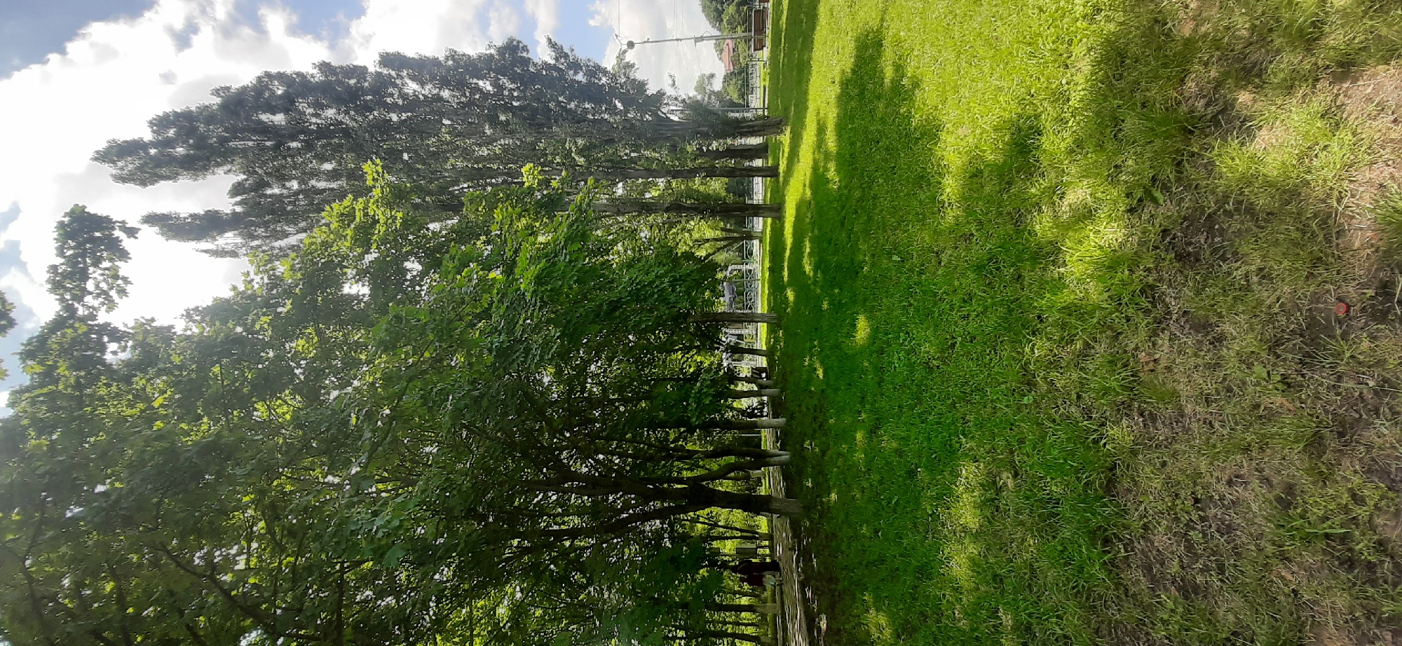 The image depicts a sunny day in a park, possibly in Yessentukskaya, Russia. Lush green grass covers the foreground, with scattered patches of dry earth and some small red objects, perhaps litter. Sunlight filters through the dense foliage of trees lining a paved path in the middle ground. Two individuals, one wearing a dark outfit and the other in a lighter color, are walking on the path. Further down the path, a bicycle is visible leaning against a tree. In the background, tall, slender trees stand silhouetted against a sky with scattered clouds. A lamppost and a park bench are also visible in the distance.