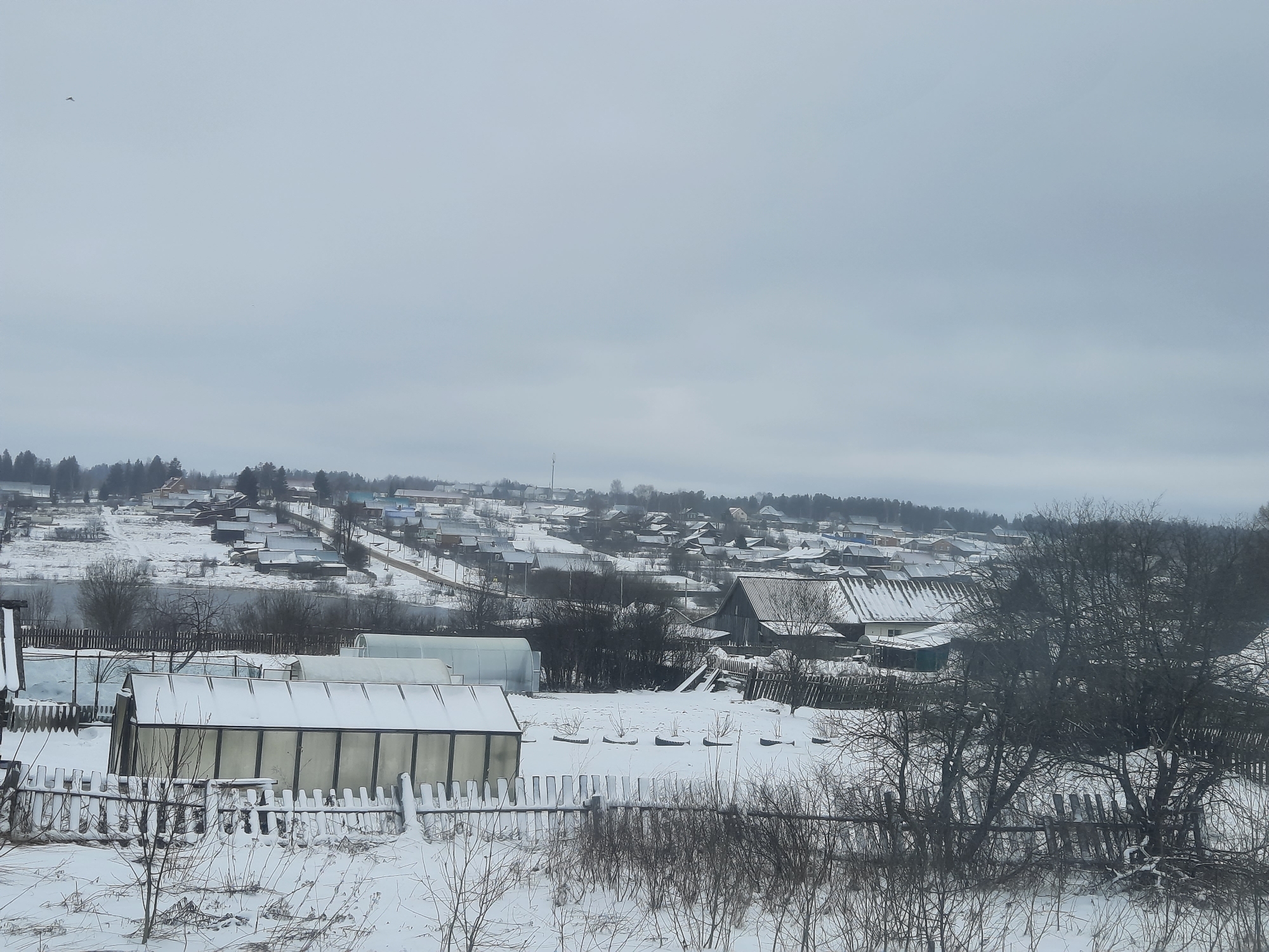 The image shows a snow-covered rural landscape, likely in Krasnogorskoye, Russia. The scene includes residential buildings on a distant hillside, a small body of water, and an assortment of greenhouses covered in snow in the foreground. A wooden fence, also covered in snow, separates the foreground and the middle ground. The sky is overcast and grey. Bare trees and bushes are scattered throughout the scene. There are no people visible in the image. A bird is flying above.