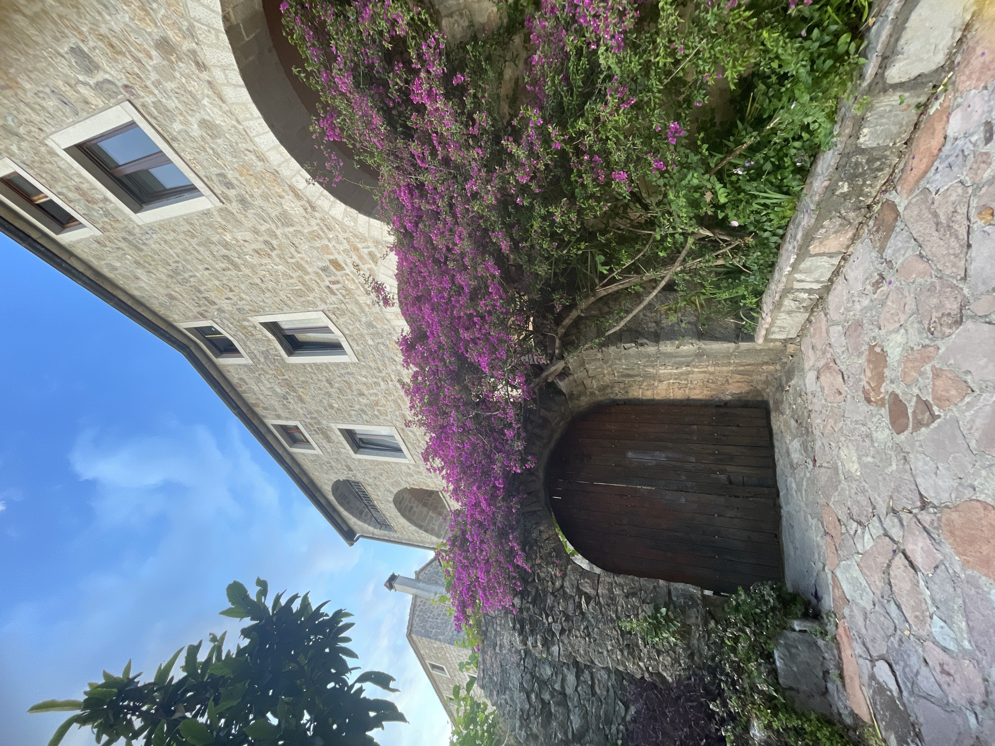 A low-angle shot depicts a stone building adorned with vibrant purple bougainvillea, possibly in Budva, Montenegro. The building features several windows, and an arched entrance is covered in purple bougainvillea, hinting at a historic or possibly medieval setting. The foreground contains stonework and additional foliage. The clear blue sky is partially visible in the upper left corner. The photograph seems to emphasize the architectural details and natural elements of the location.