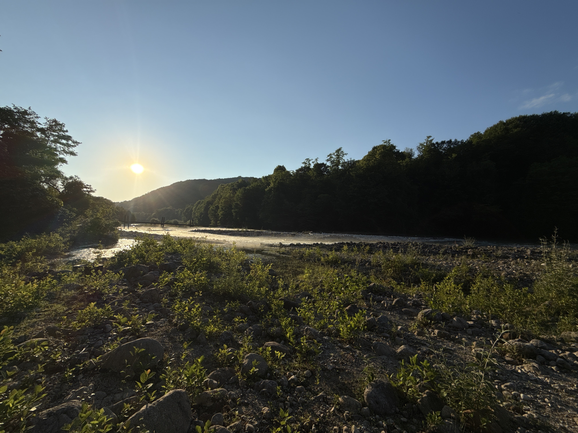 This is a wide-angle landscape photograph taken at ground level, looking towards a river and a tree-covered hillside under a clear blue sky. The sun is setting on the left side of the frame, casting a warm glow and creating a sunburst effect. In the foreground, there is a rocky and vegetated area with small green plants growing amongst the stones. The river flows from the left to the right, with its surface reflecting the sunlight. In the distance, across the river, a dense forest covers the hillside, silhouetted against the bright sky. The image captures a serene natural environment. There are no people or animals visible in the scene.