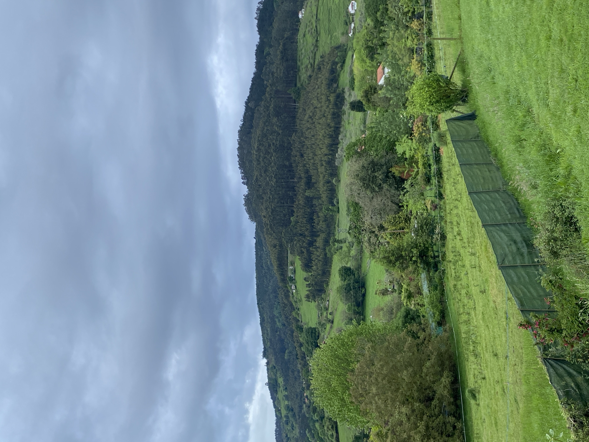 The image shows a lush, green landscape, possibly near the city of Villaviciosa, Spain. A forested mountain rises on the left side of the frame, ascending towards a cloudy, overcast sky. The mountain's lower slopes transition into a green valley speckled with trees, houses, and fields. A long, dark green screen or barrier runs along the right side, defining a property line or a cultivated area. The foreground features a grassy field leading to the screen.