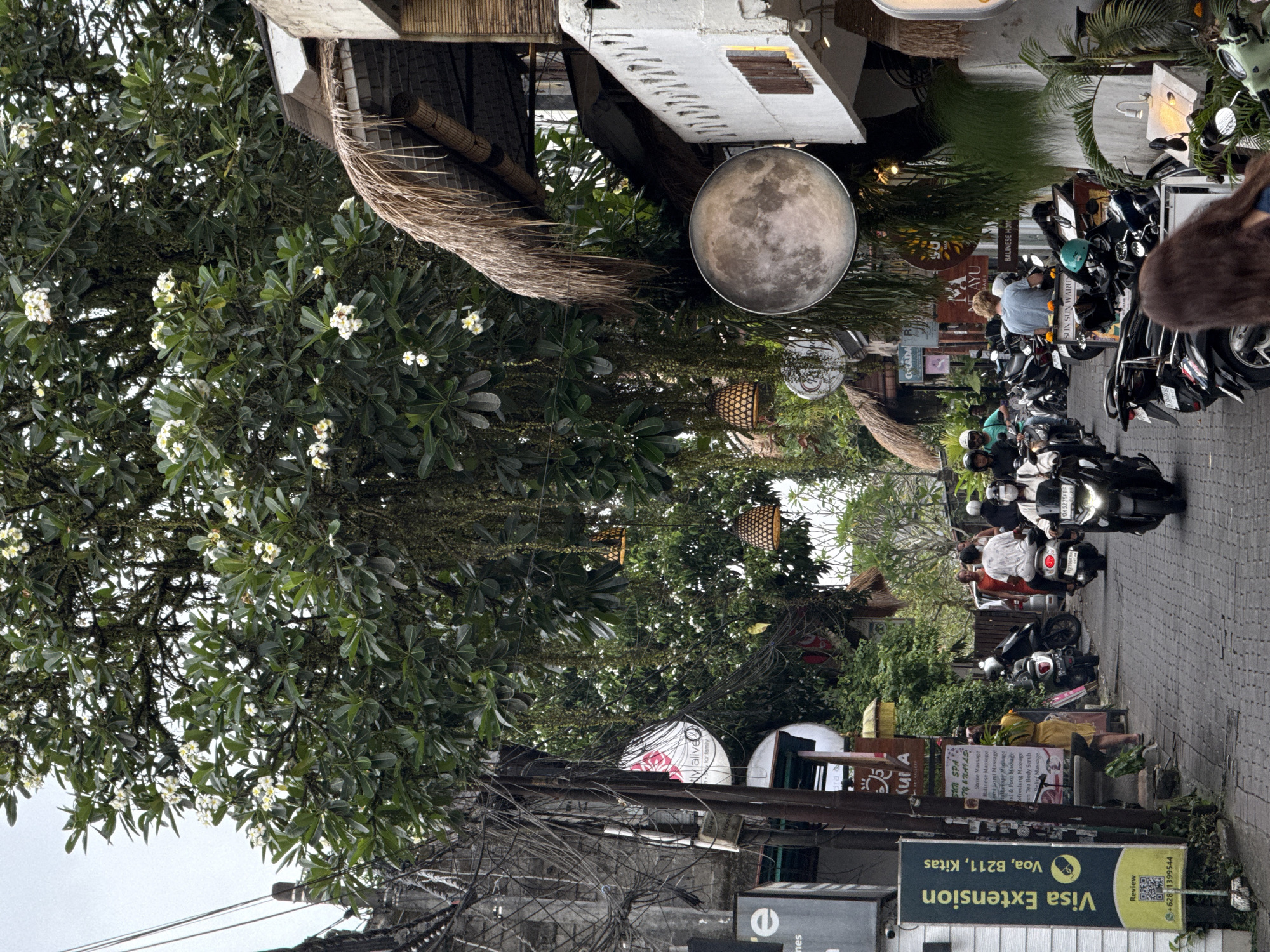 The image depicts a lively street scene in the Ubud District, Indonesia, characterized by tropical vegetation and urban activity. The perspective is along a street lined with buildings and dense greenery.
The primary subjects are numerous motorbikes and people. Several motorbikes are parked along the roadside, while others are in motion, ridden by individuals and pairs, some wearing helmets. One person appears to be walking on the sidewalk. Lush green trees, adorned with white flowering blossoms (likely frangipani), frame the upper parts of the scene, with intricate branches and foliage visible against an overcast sky.
Notable details include decorative elements such as a large, spherical lamp designed to look like a full moon hanging amidst the trees, alongside wicker lanterns and dried palm frond decorations. A dense network of overhead electrical wires is visible in the lower left. The overcast sky suggests it is daytime, though not necessarily bright and sunny. The general atmosphere is that of a bustling street in a tropical setting.
Several signs and advertisements are visible, contributing to the location's character. Visible text includes a prominent sign for "Visa Extension, Voa, B211, Kitas" with a phone number "+6281399544" and a QR code. Another sign advertises "SUN SPA TY & NATAS," listing various services: "Stone Massage," "Balinese Massage," "Lomi Lomi Massage," "Therapy Massage," "Hand & Foot Massage," "Refreshing Massage," "Green Tea Body Scrub," and "Belief Massage." Other partially visible texts include "tly alive for family," "Kur A," "BALINESE HOM," "AYU," and "SUN SUN WARUY." A motorbike license plate, "OK5275FBF," is also discernible.