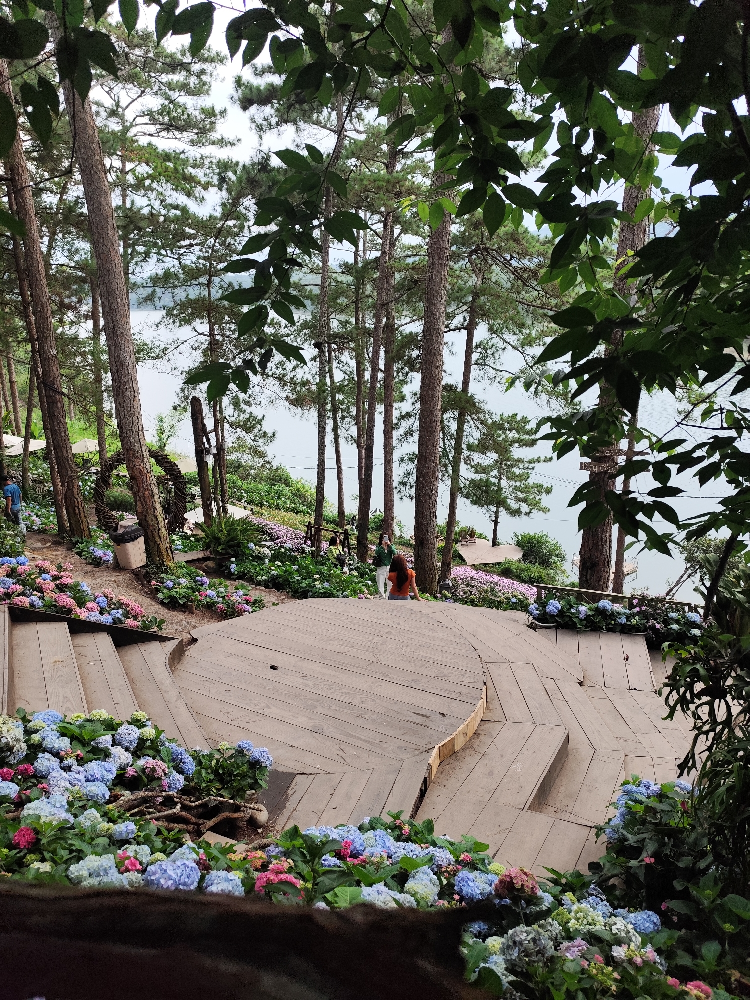 A high-angle view shows a wooden platform surrounded by colorful hydrangeas, located in Da Lat, Vietnam. The platform is tiered with steps leading down to a semi-circular stage area. People can be seen walking among the surrounding flowers and trees, with a body of water visible in the background. The scene is framed by tall pine trees and lush greenery.