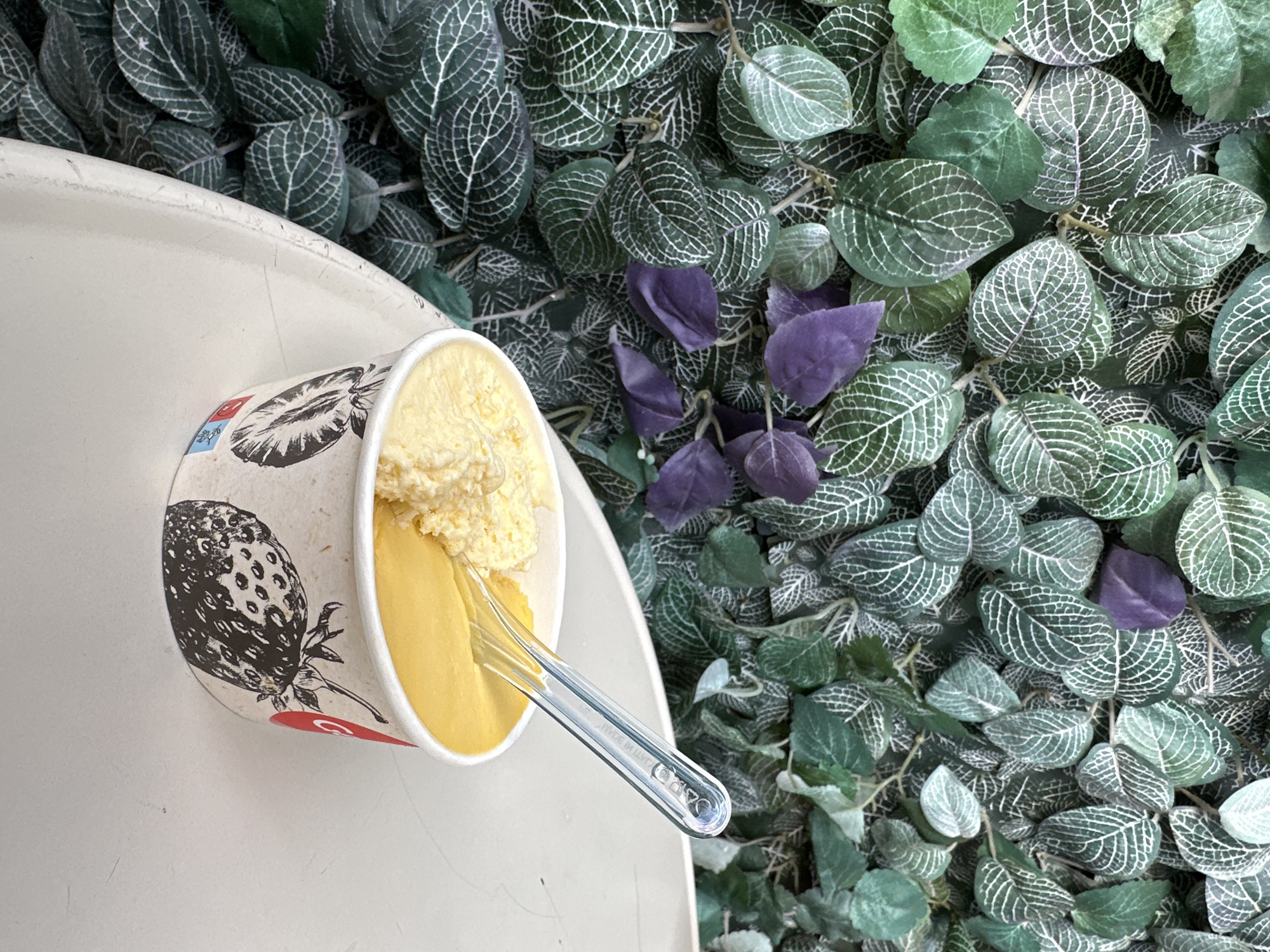 The image depicts a close-up, elevated view of a single paper cup containing two scoops of yellow-colored gelato or ice cream, resting on a light-colored, scuffed surface, likely a table. One scoop is a smooth, vibrant yellow, while the other is a paler, more textured yellow. A clear plastic gelato spoon, partially submerged in the smoother scoop, is visible with "MADE IN ITALY" embossed on its handle. The paper cup features black line art illustrations of strawberries and a partial red circular logo on its right side. The background consists of a dense, vertical arrangement of artificial green foliage, characterized by prominent white venation patterns, interspersed with several artificial purple leaves. No individuals are visible. The specific location within Sofia, Bulgaria, is not discernible from the visual content of the image. The scene suggests an outdoor or brightly lit indoor dining area.