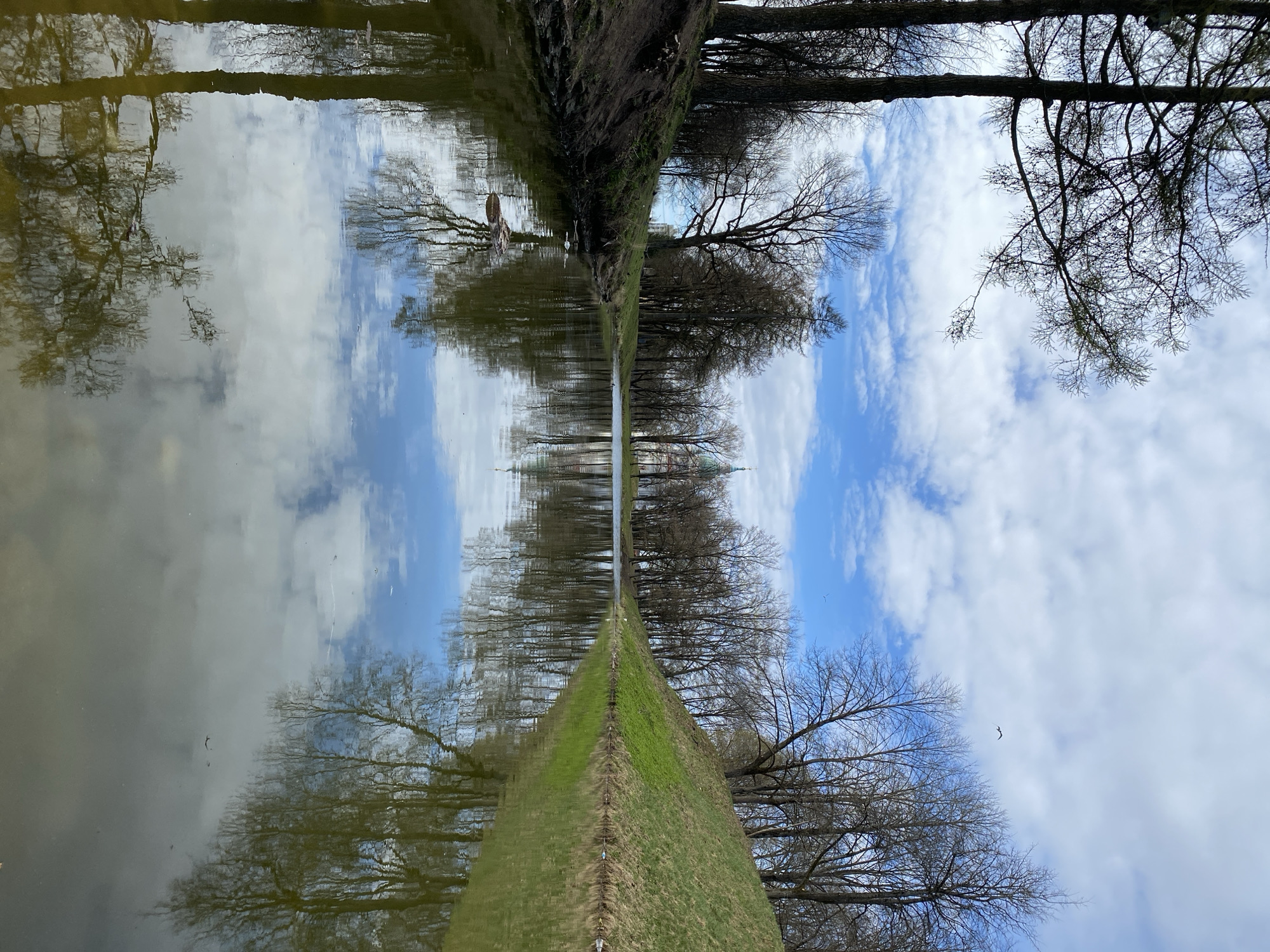 The image shows a reflection of a landscape in water, creating a symmetrical composition. In the center of the image is what seems to be a grassy embankment running toward a building with a tower or dome. Bare trees line either side of the embankment. The reflection in the water captures the sky, with white clouds scattered across a blue background. The overall scene depicts a calm and serene outdoor environment. There are birds flying in the sky and more birds are on the embankment. Based on the location the building could be the Catherine Cathedral in Kingisepp, Russia.