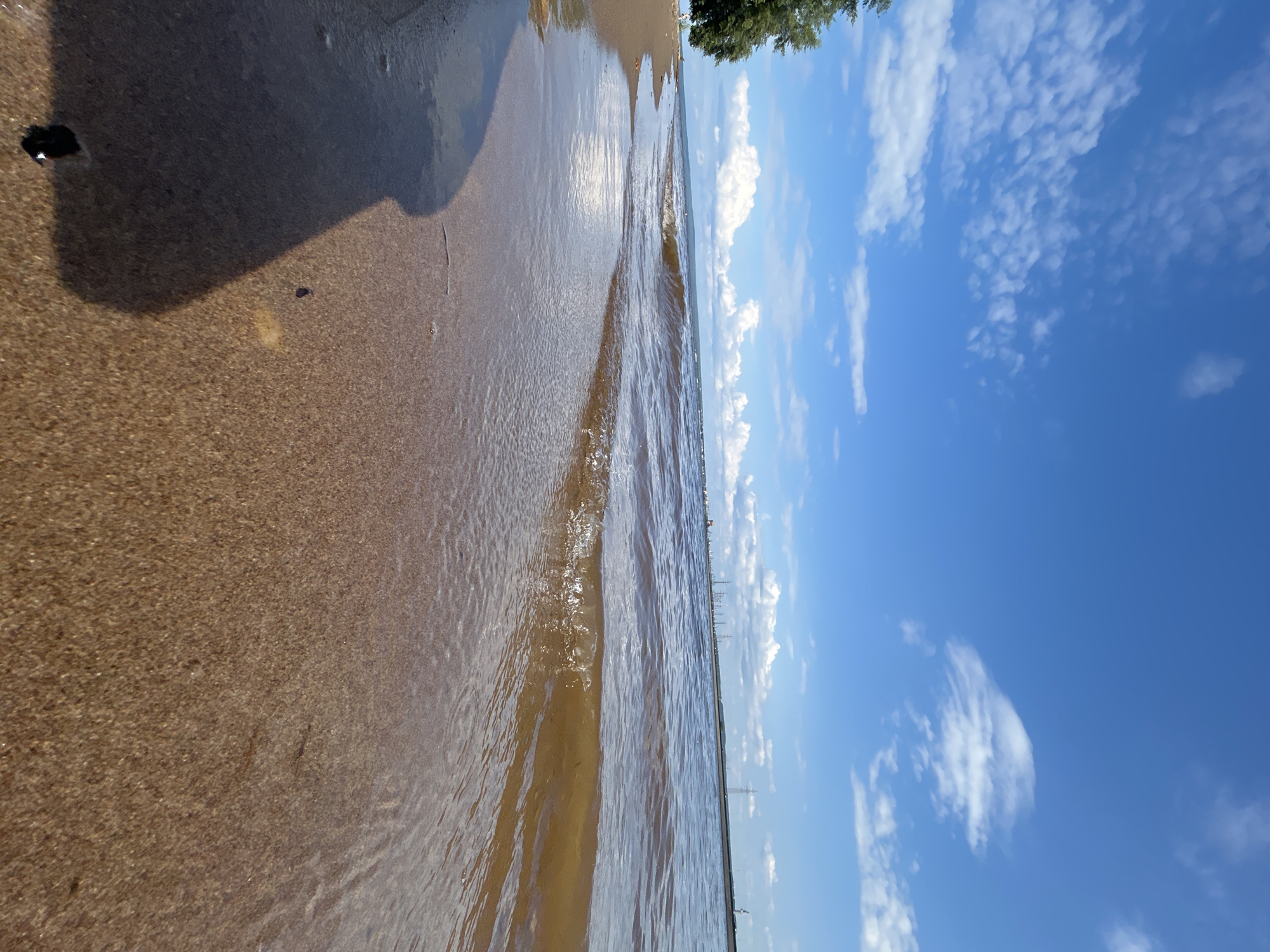 This is a landscape photograph taken at eye-level, looking out towards a body of water from a sandy shore. The image is oriented vertically. The foreground is dominated by a sandy beach, with a dark shadow cast across the left portion of the sand. A small dark object, possibly a pebble or piece of debris, is visible on the sand. The water's edge is clearly defined, with gentle waves lapping at the shore. The water itself appears calm and reflects the sunlight, creating a shimmering effect.
As the view extends towards the horizon, the water meets the sky. The sky is a vibrant blue, dotted with fluffy white clouds. In the distance, a faint line of trees or vegetation is visible along the horizon, and what appear to be power lines or tall structures are scattered across the landscape. The overall impression is one of a bright, sunny day, likely during the daytime given the strong sunlight and clear blue sky. The scene evokes a sense of tranquility and the natural beauty of a coastal or lakeside environment. There is no visible text in the image.