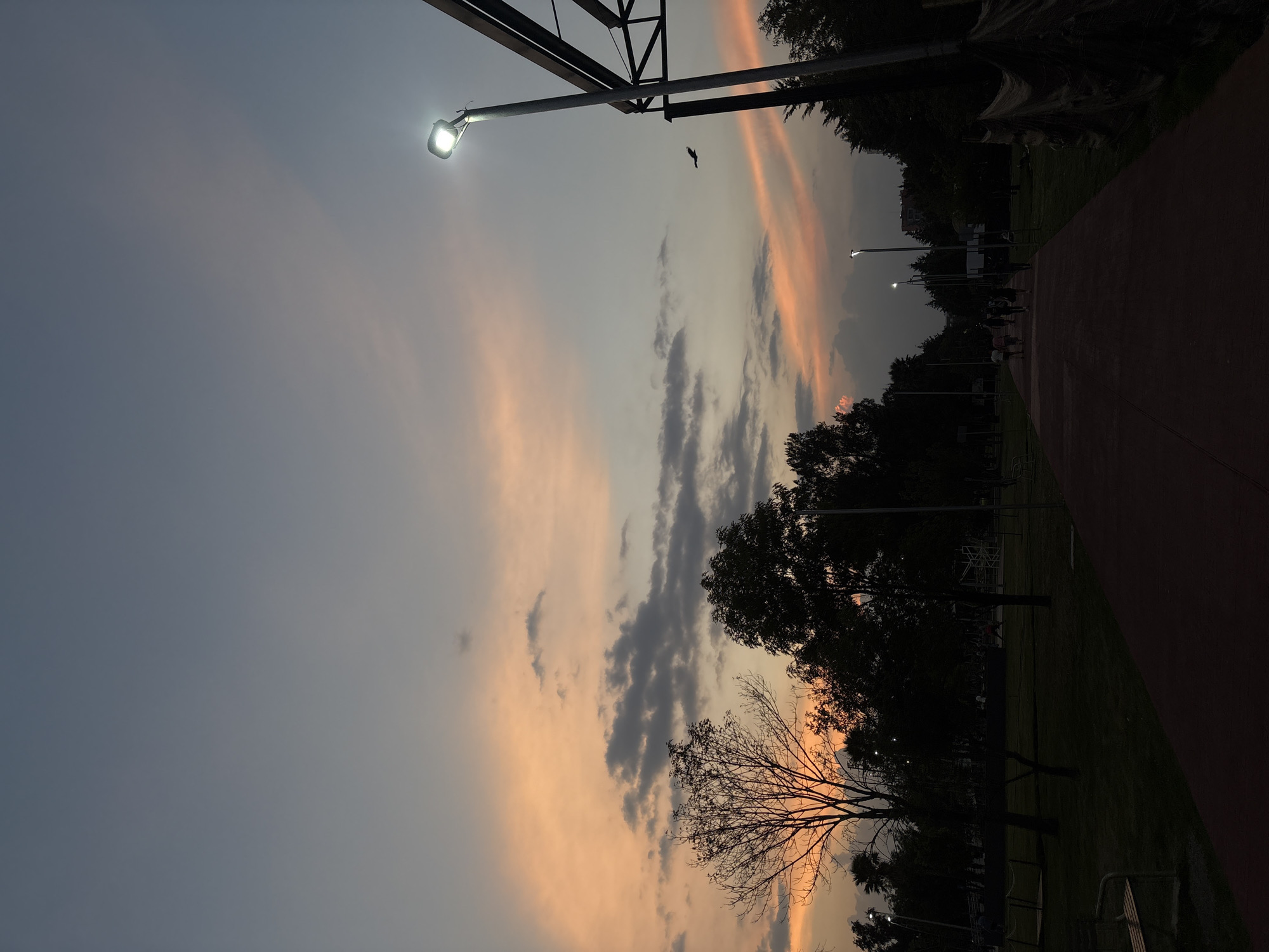 The image shows a park scene at dusk. A paved path runs along the right side of the image. Trees and foliage line the edge of the path. Streetlights illuminate the path and the sky above. A bird is visible in the sky. The sky is a mix of gray and orange hues from the setting sun. There are people and streetlights in the distance.
While the image could potentially be in Puebla, Mexico as requested, the provided image does not provide enough detail to conclusively determine the location.