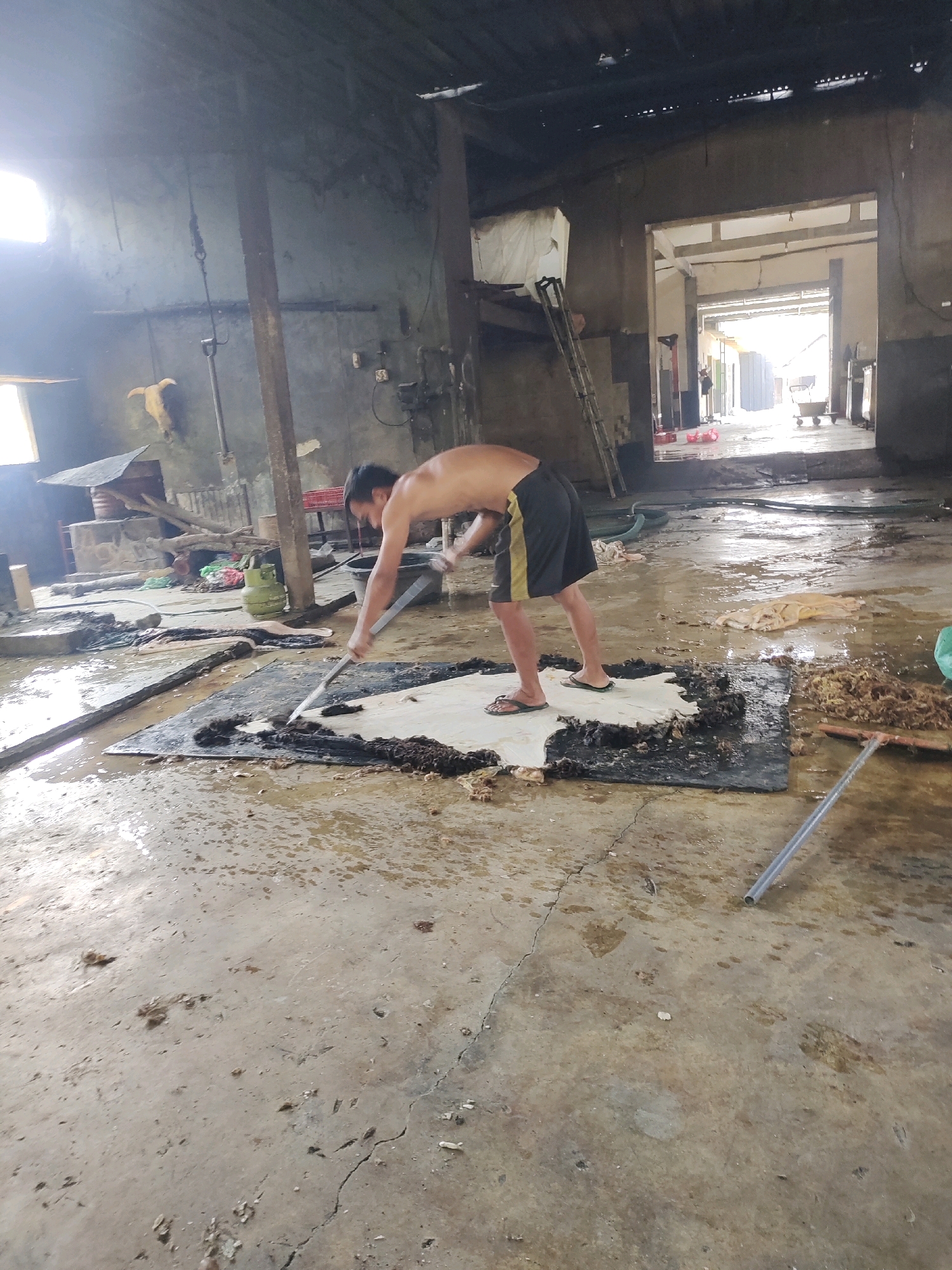 An unidentifiable male, shirtless and wearing dark shorts with yellow stripes, is depicted from the waist down as he works on a large piece of hide laid out on a black mat. He holds a long-handled tool, scraping at the hide which is surrounded by wet, muddy conditions. The environment appears to be an unfinished or industrial building with a concrete floor, possibly a workshop or processing facility. The scene is lit by natural light coming from a window on the left and through an open doorway in the background. Scattered materials and tools are visible throughout the cluttered space, including what appears to be a gas cylinder. The overall impression is of a work in progress in a rustic, possibly rural, setting.