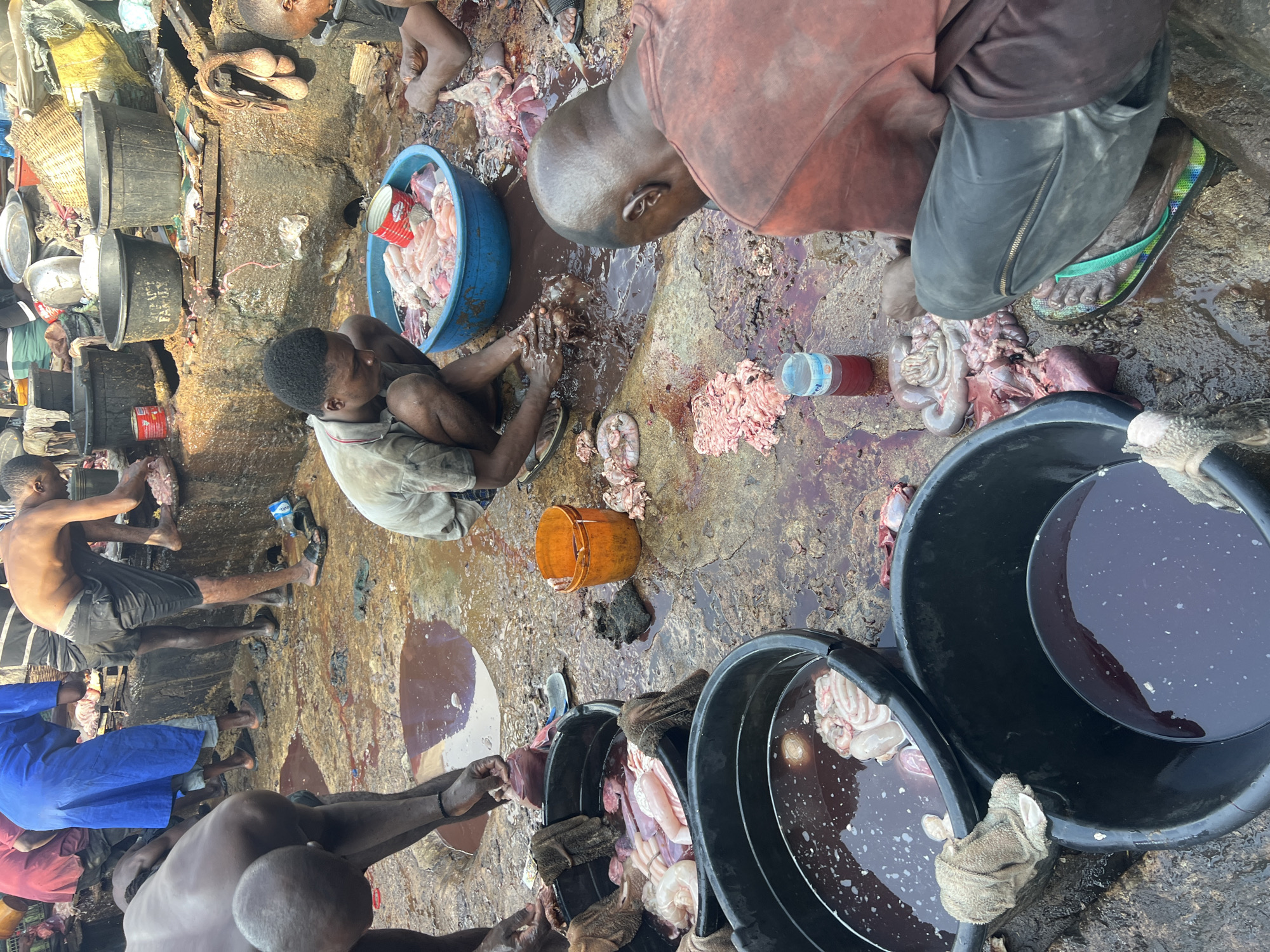 In Nkpor, Nigeria, multiple individuals are processing raw animal organs, likely intestines, on a concrete surface. The processing involves washing and sorting the organs, with the presence of buckets filled with water and raw meat. The scene appears unhygienic, with blood and fluids on the ground, and the workers are barefoot or wearing sandals. There is general untidiness and evidence of slaughtering.