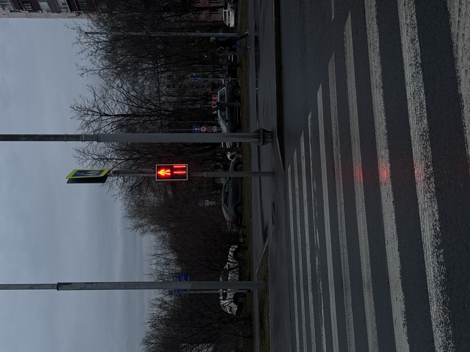 The image captures a street scene in what appears to be Moscow, Russia, on an overcast day. The view is oriented vertically. A pedestrian crossing is prominently featured, with white stripes marked on the gray asphalt. A pedestrian traffic light shows a red figure, indicating it is not safe to cross. Cars are parked along the roadside, and bare trees line the street. A person is seen walking along the sidewalk in the distance. The overall scene suggests a typical urban landscape in Russia during the late fall or winter season.
