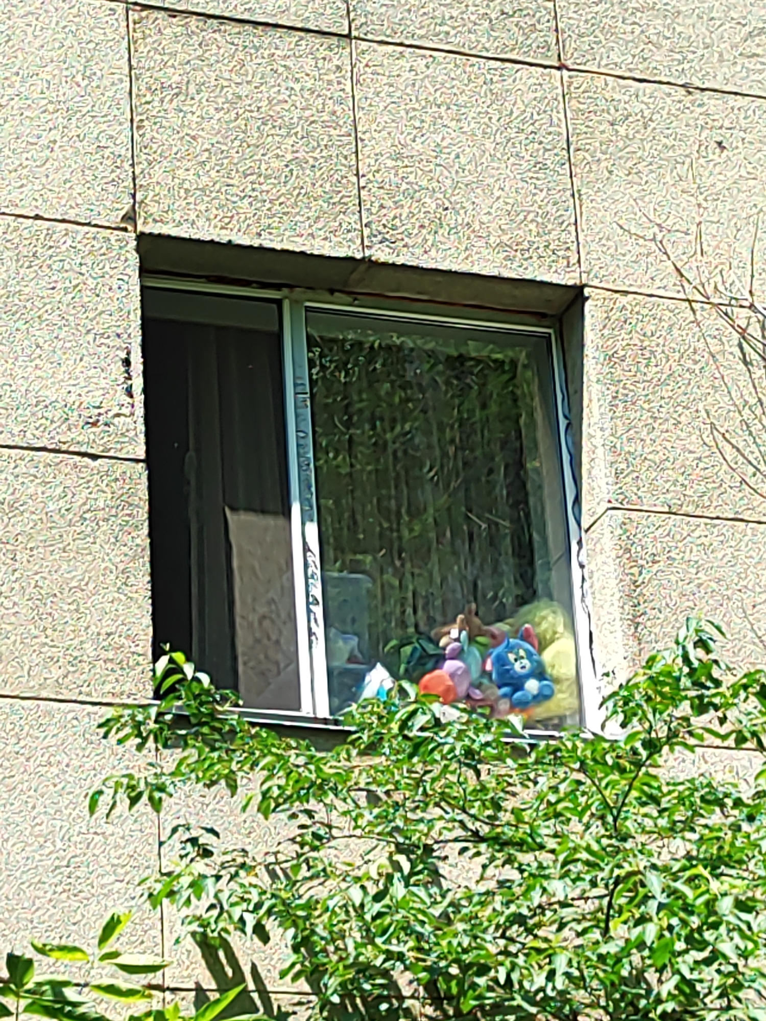 The image shows a window on the second floor of a building. The building's exterior wall is made of light-colored, textured panels. The window is a sliding glass window, with one pane open. Inside the window, several stuffed animals are visible, including a blue cat-shaped toy, a pink bunny-shaped toy, and a brown bear-shaped toy. A yellow stuffed animal is also partially visible. Behind the stuffed animals, a sheer curtain can be seen. The window is framed by green foliage, likely from a tree or bush, in the foreground. The scene appears to be in an urban environment, likely a residential area. The presence of the specific building material and the general architectural style may suggest a location within the city of Almaty, Kazakhstan, though this cannot be definitively confirmed from the image alone.