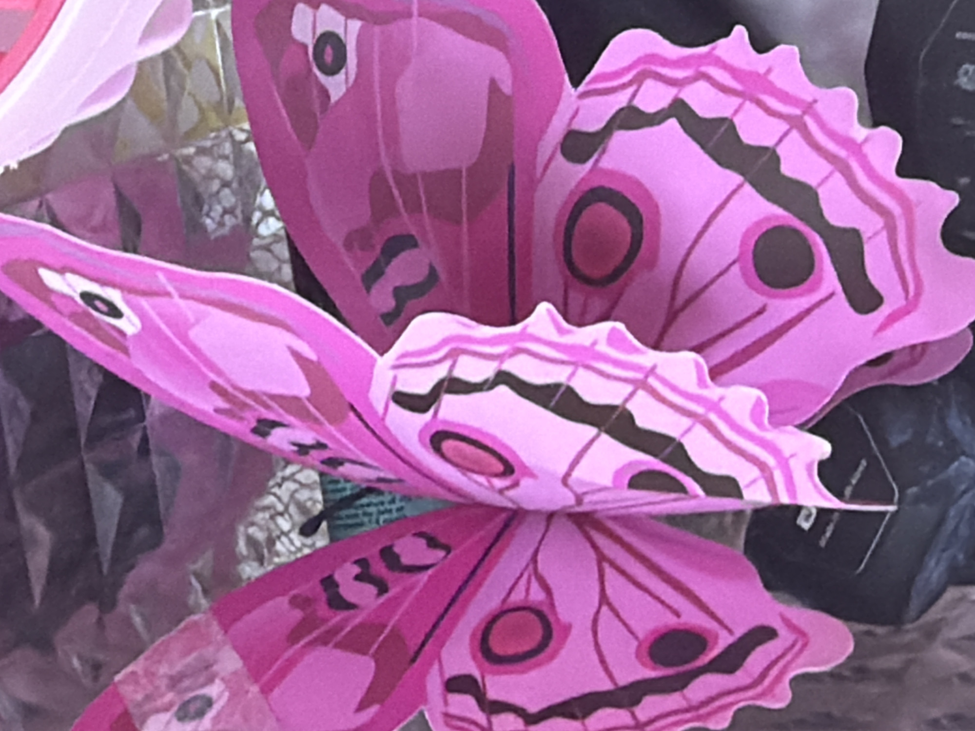 The media file is a close-up shot of a large, decorative pink butterfly. The butterfly appears to be made of paper or a similar material and is likely an artificial decoration, possibly for a party or event. The wings of the butterfly are intricately designed with darker pink and black markings, including eye-like spots. The background is blurred, but suggests a cluttered environment with reflective surfaces and dark objects, possibly a room or a display area. There is no indication of people, a specific time of day, or weather conditions. No visible text is present in the image. The setting is identified as Kyiv, Ukraine, but this context is not visually evident in the provided image.