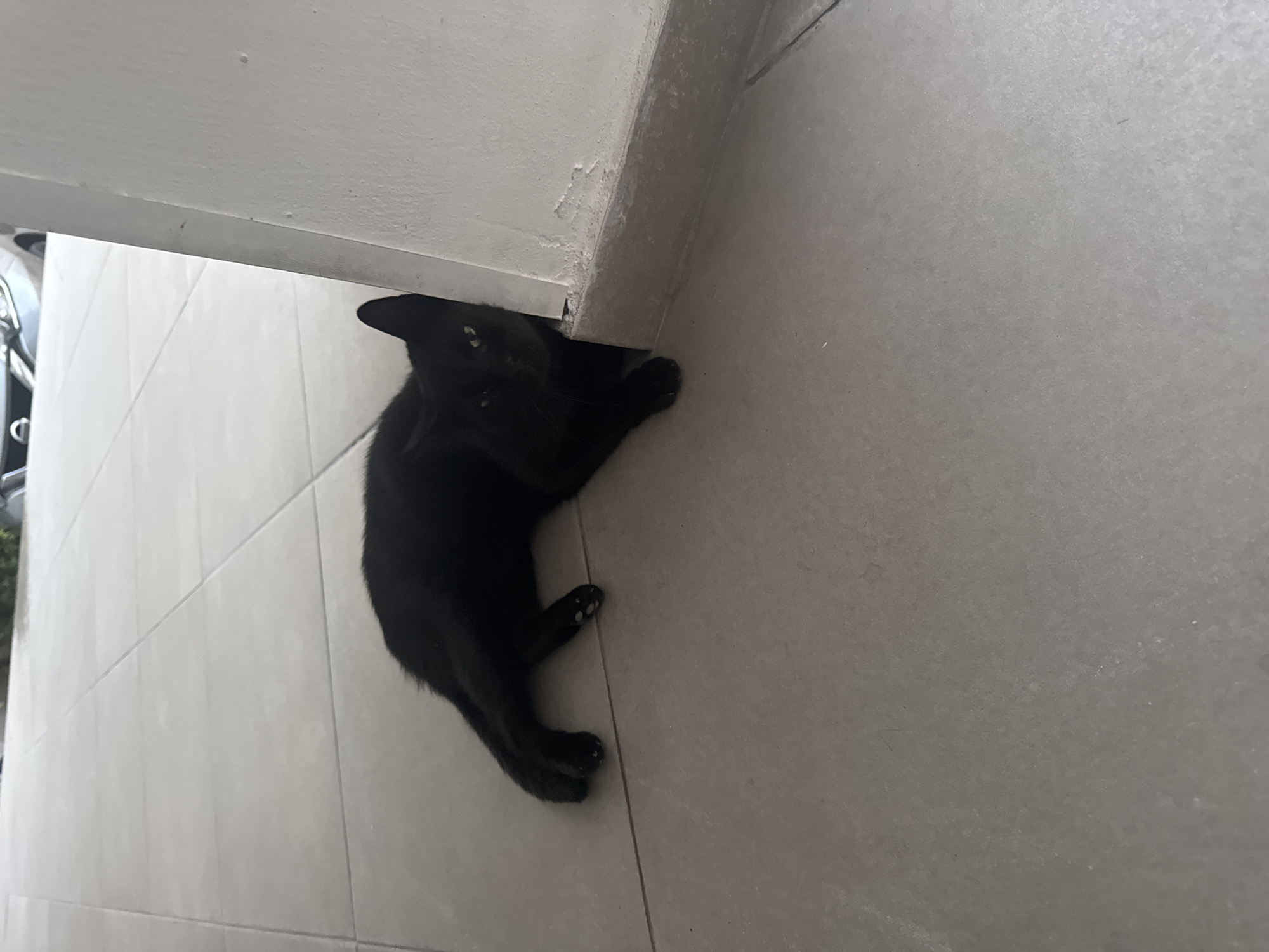 A black cat is lying on its side on a tiled floor, partially hidden behind a white wall. The cat's body is elongated, with its front paws extended forward and its back legs bent. Its eyes are open and looking towards the camera. The tiled floor is light gray and appears to be outdoors, possibly on a patio or balcony. The wall behind the cat is white and shows signs of wear and tear near the base. In the background, a car is partially visible, suggesting an urban or residential setting. The image was taken in the city of Agios Tychona Community, Cyprus.