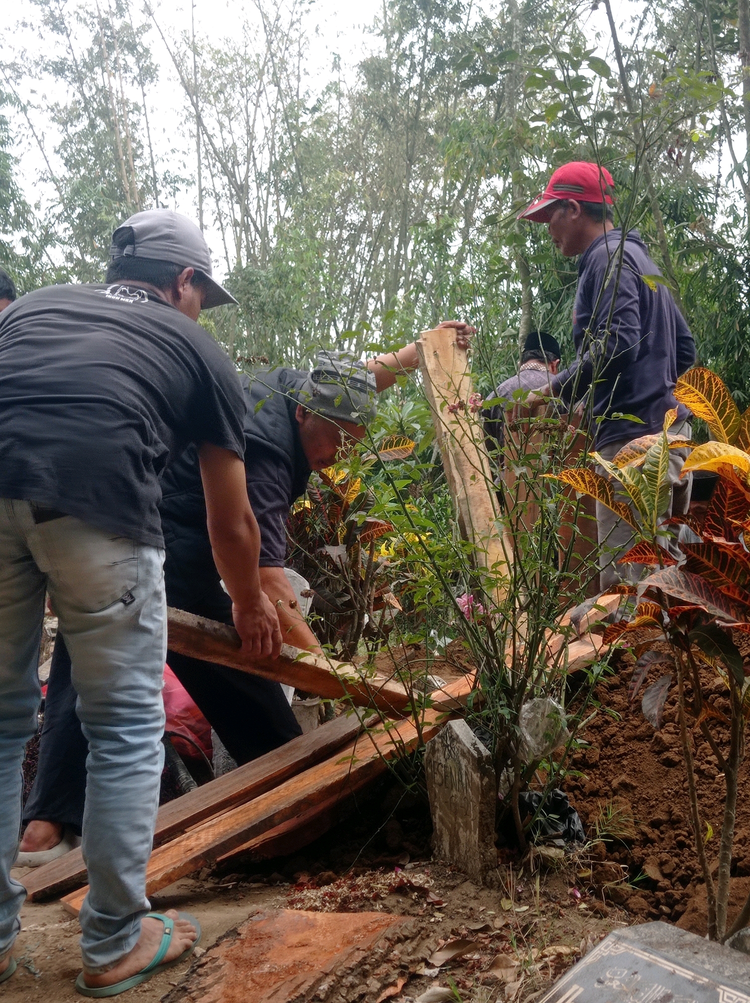 In Pandanmulyo, Indonesia, three individuals are engaged in handling wooden planks near what appears to be a grave. One person, wearing a dark t-shirt and light blue jeans, is in the foreground, facing away from the camera and holding a plank. Another individual, dressed in a dark jacket and a grey baseball cap, is positioned behind the first person and is also interacting with a wooden plank. The third person, wearing a dark long-sleeved shirt and a red baseball cap, is on the right side of the frame, also holding a wooden plank. The environment is outdoors, with dense vegetation and trees visible in the background. The ground is covered with dirt and fallen leaves, and a gravestone is partially visible to the left of the central figures. The overall scene suggests an activity related to grave construction or maintenance.