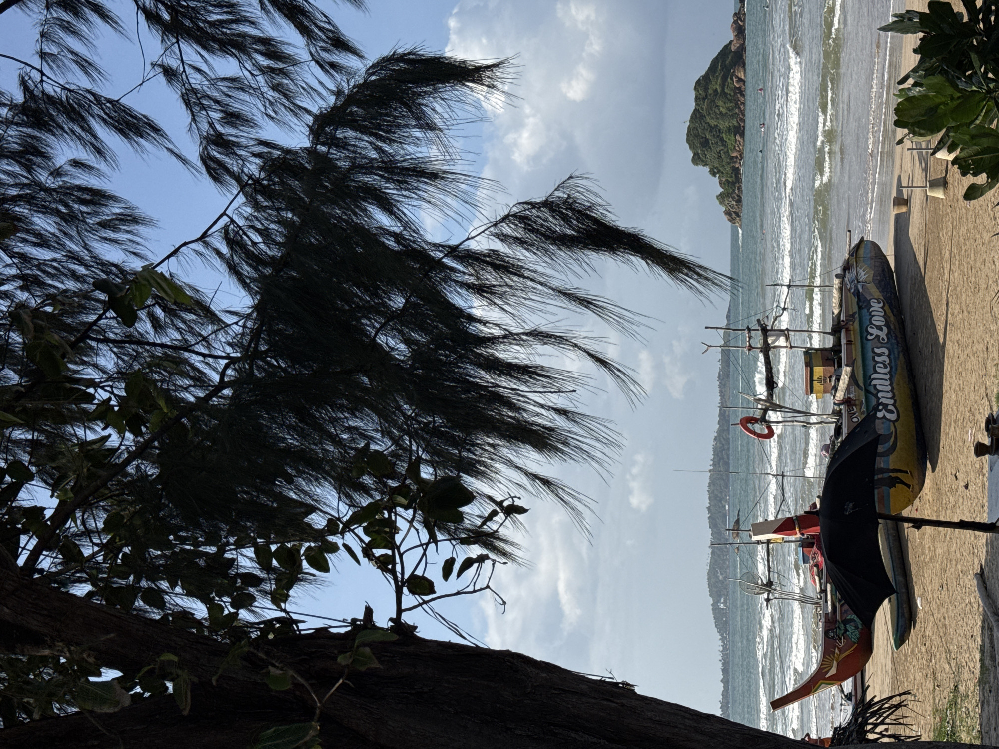 The image depicts a beach scene in Weligama, Sri Lanka. In the foreground, a large tree trunk is visible on the left, with its branches and pine needles obscuring the upper part of the sky. A black umbrella stands open on the sandy beach, partially in front of two colorful fishing boats. The boat on the left is red and green with intricate designs, while the boat on the right is yellow and blue, with the words "Endless Love" painted on its side. Both boats appear to be traditional Sri Lankan outrigger canoes.
The ocean stretches out behind the boats, with moderate waves crashing on the shore. In the distance, a lush green island with a small structure on top is visible. The sky is a mix of blue with scattered white clouds. A few people can be seen in the water, some appearing to be swimming or surfing. The overall impression is that of a tranquil beach setting, characteristic of Weligama, a popular tourist destination known for its surf spots and fishing communities.