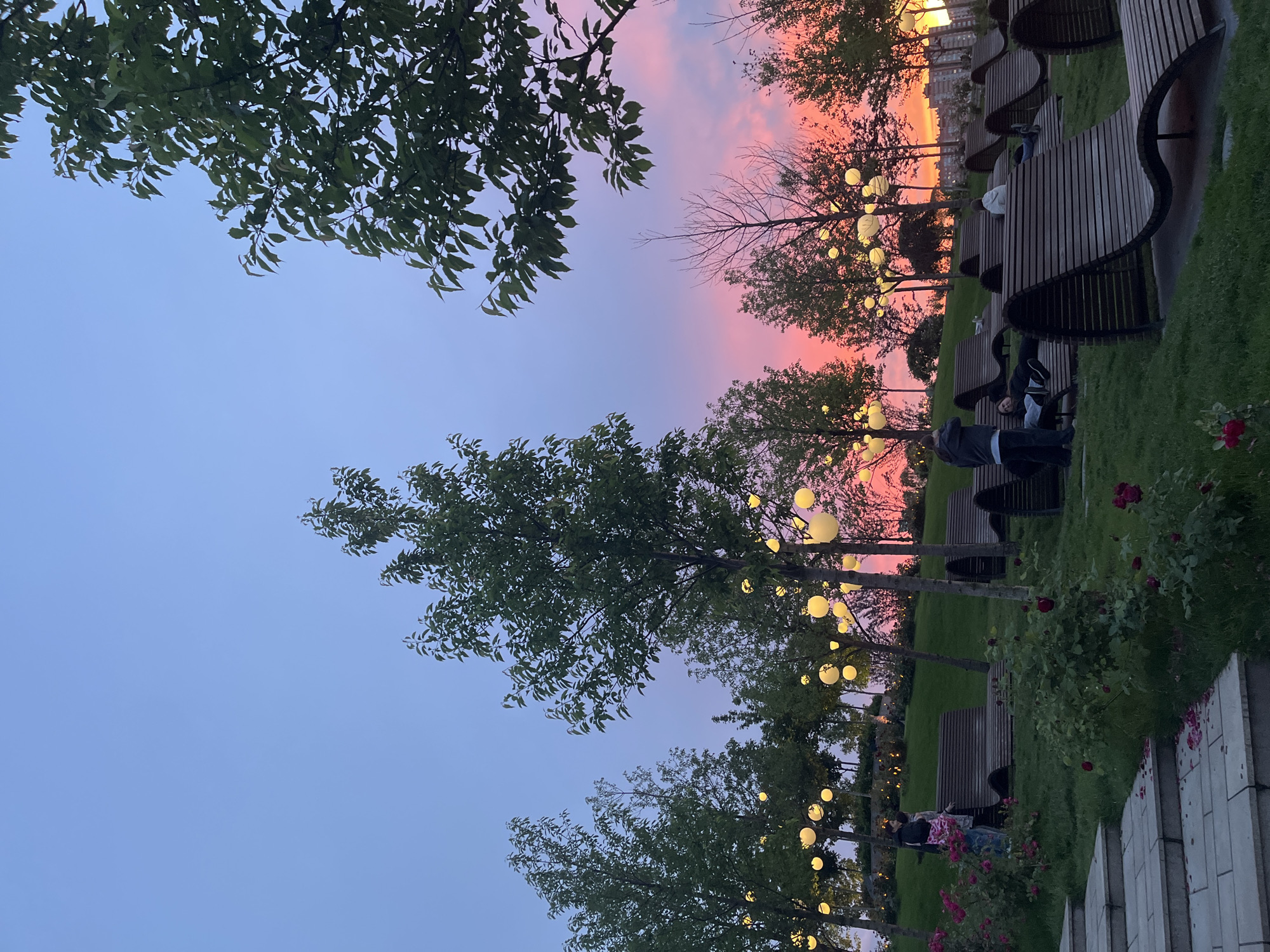 This photograph captures a serene and beautifully lit park scene during sunset or twilight. The image is taken from a low angle, looking upwards and across the park. The sky, a dominant feature, displays a gradient of colors, transitioning from vibrant pink, orange, and yellow hues on the right, indicative of a sunset, to softer lavender and light blue tones on the left.
Numerous trees with green foliage are scattered throughout the park, with several in the midground adorned with spherical, glowing lanterns that cast a warm light on their surroundings. These lanterns are a notable detail, adding an enchanting ambiance to the scene.
Below the trees, the park features rolling grassy slopes. Modern, wave-like wooden benches are arranged across these slopes, providing seating for visitors. Several individuals are present in the park: one person in a white top is seated on a bench, another in dark clothing relaxes on a lower bench, and a person in a dark jacket and jeans stands near rose bushes in the foreground.
The foreground also includes rose bushes with red blossoms and scattered petals, adding a touch of natural beauty. In the far distance, against the dramatic sunset sky, a city skyline with buildings can be seen, suggesting an urban park setting in Krasnodar, Russia. The overall atmosphere is peaceful and inviting, with the illuminated park elements standing out against the colorful twilight sky. There is no visible text in the image.