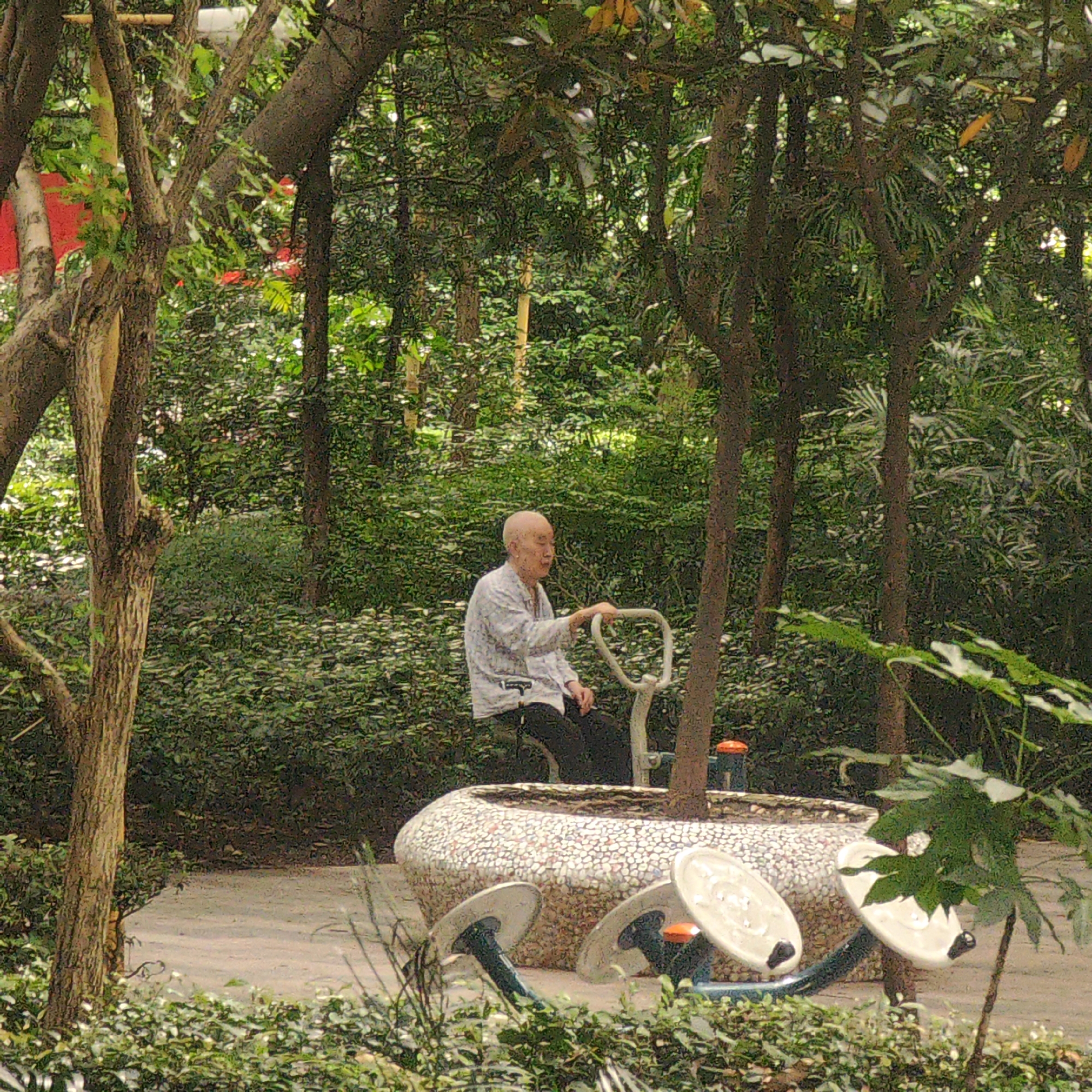An eye-level medium shot captures an older man seated on exercise equipment in a green, tree-filled area of Yuzhong District, China. The man, who is the central figure in the image, has a shaved head and is wearing a light-colored, patterned shirt and dark pants. He sits with his hands resting on the handles of the exercise machine.
The exercise equipment is set in a large, oval-shaped base covered in small, light-colored stones. Additional pieces of exercise equipment with rotating platforms are also visible. The scene is surrounded by trees and lush greenery, adding a natural, park-like ambiance. The background consists of a dense collection of trees and shrubs. A paved walkway is visible around the equipment. Red objects are visible through the trees in the upper left of the shot.