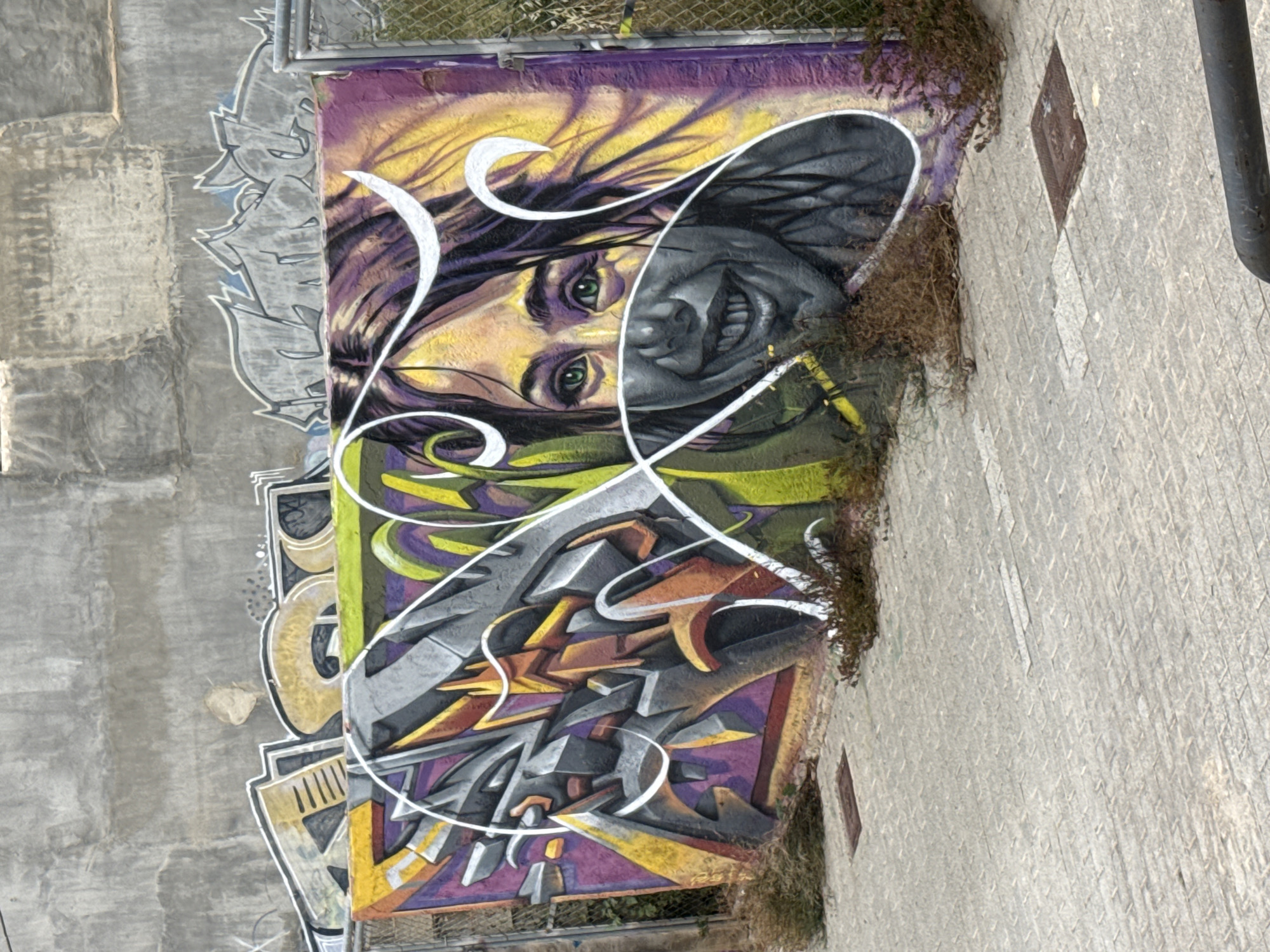 The image depicts a mural on a gray concrete wall in an urban environment. The mural features a face with one side rendered in color (yellow, green, purple) and the other side in grayscale. The colored side has green eyes and the grayscale side shows a grinning expression. White, abstract lines overlay the face and extend down into a section of abstract graffiti art with elements in shades of gray, orange, yellow, and purple. A chain-link fence is visible above the mural, and some dried vegetation grows along the top edge of the mural. To the right of the mural, there's a section of textured, light-colored concrete, and a black pipe runs vertically along the right edge. The location is Unknown, Unknown.