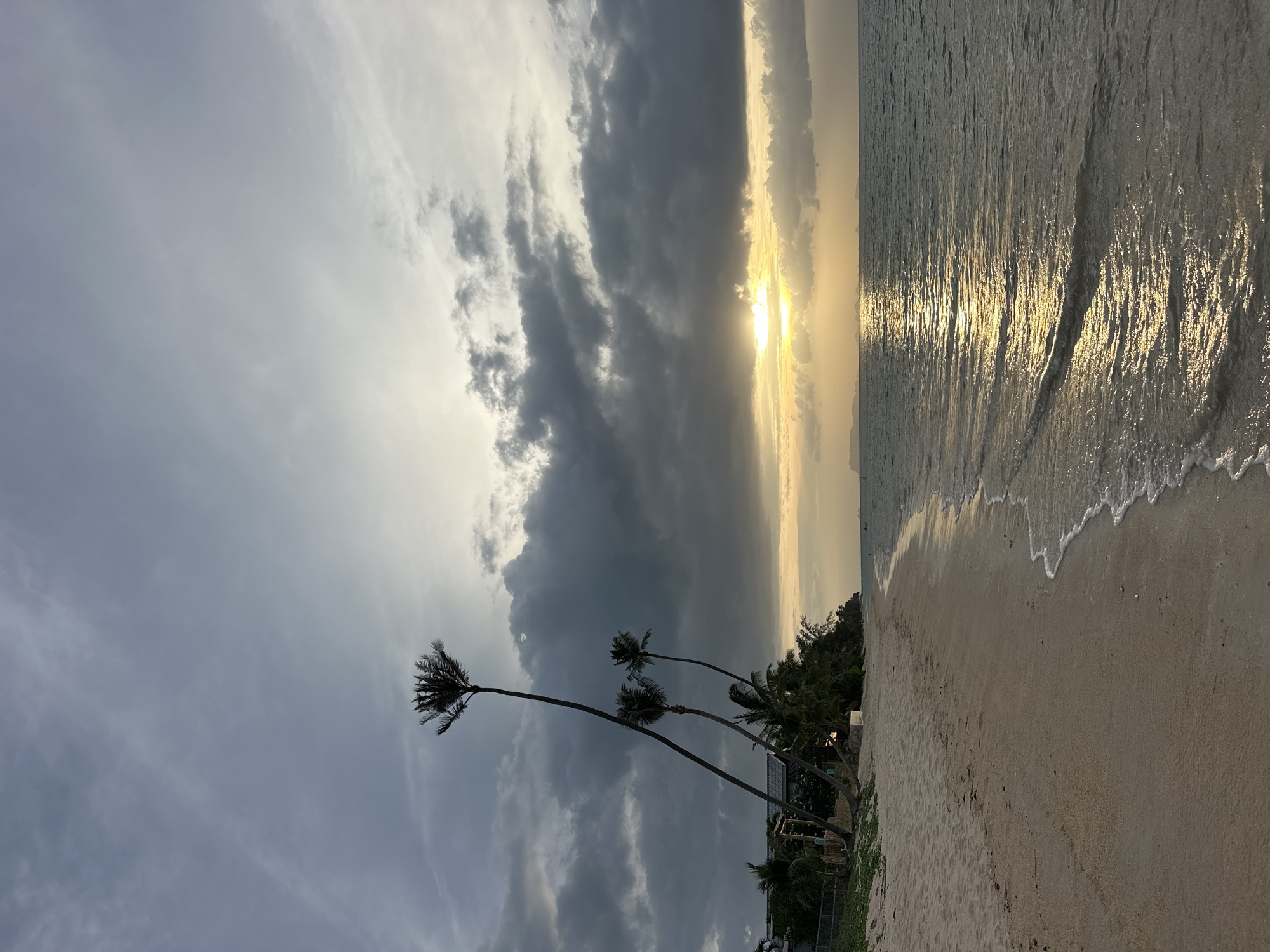 The image depicts a serene beach scene in Ko Samui District, Thailand, during a cloudy sunset. The foreground features a sandy beach with gentle waves lapping at the shore. To the left, several tall, slender palm trees lean towards the sea, their fronds silhouetted against the dramatic sky. In the background, the sun breaks through the clouds, casting a golden reflection on the water. The overall atmosphere is tranquil and picturesque, typical of a tropical evening.