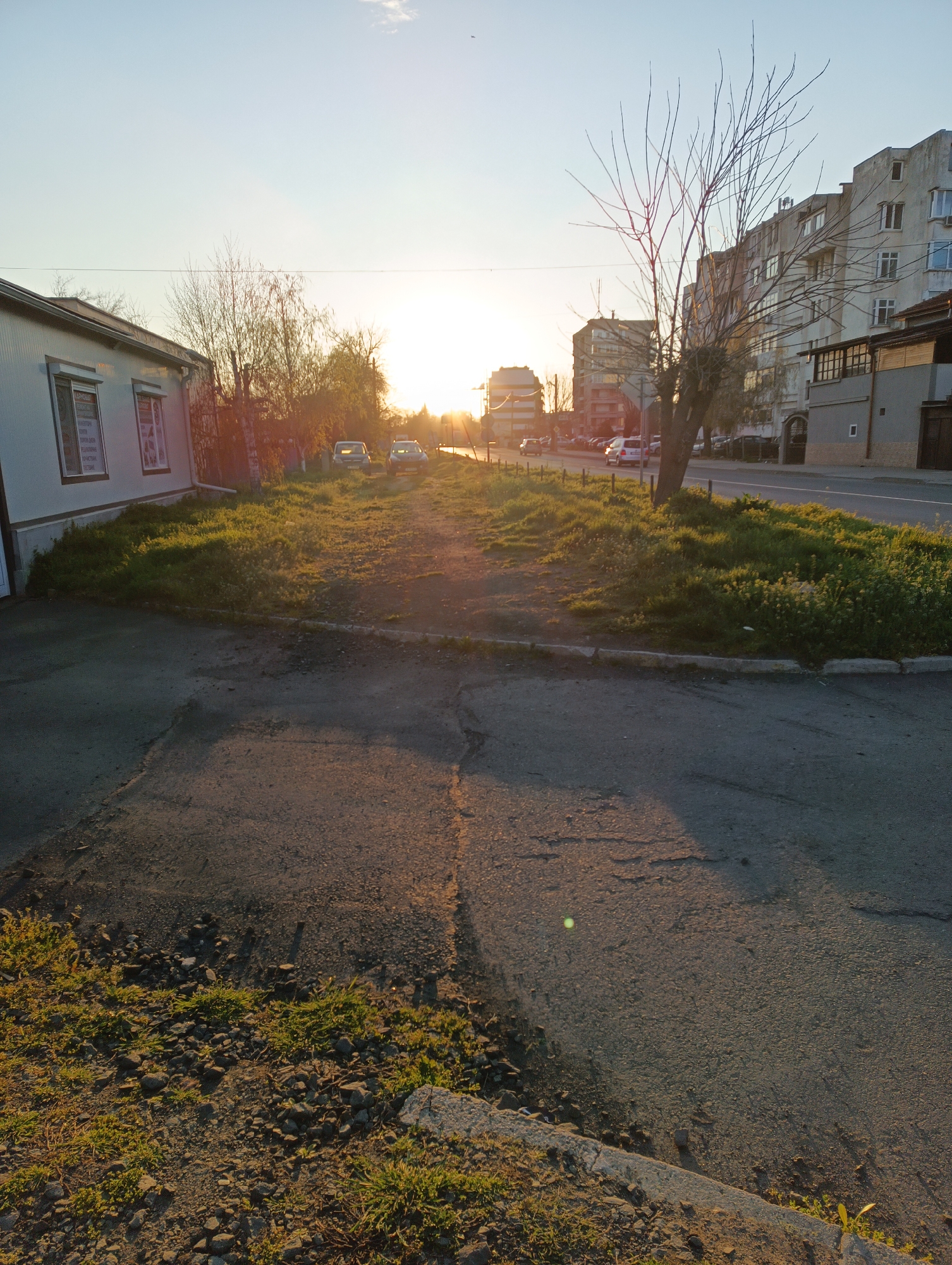 The photograph depicts a street scene in Karnobat, Bulgaria at sunrise or sunset. In the foreground, there is a cracked asphalt road with patches of gravel and sparse vegetation. To the left, a prefabricated building with windows and advertisements is visible. Adjacent to the road is a grassy strip with patches of weeds and small wildflowers. In the distance, a row of cars is parked along the road leading to the horizon. Beyond the cars, several multi-story buildings can be seen under the bright sunlight. A bare tree is on the right. A section of a road is on the right with some cars.