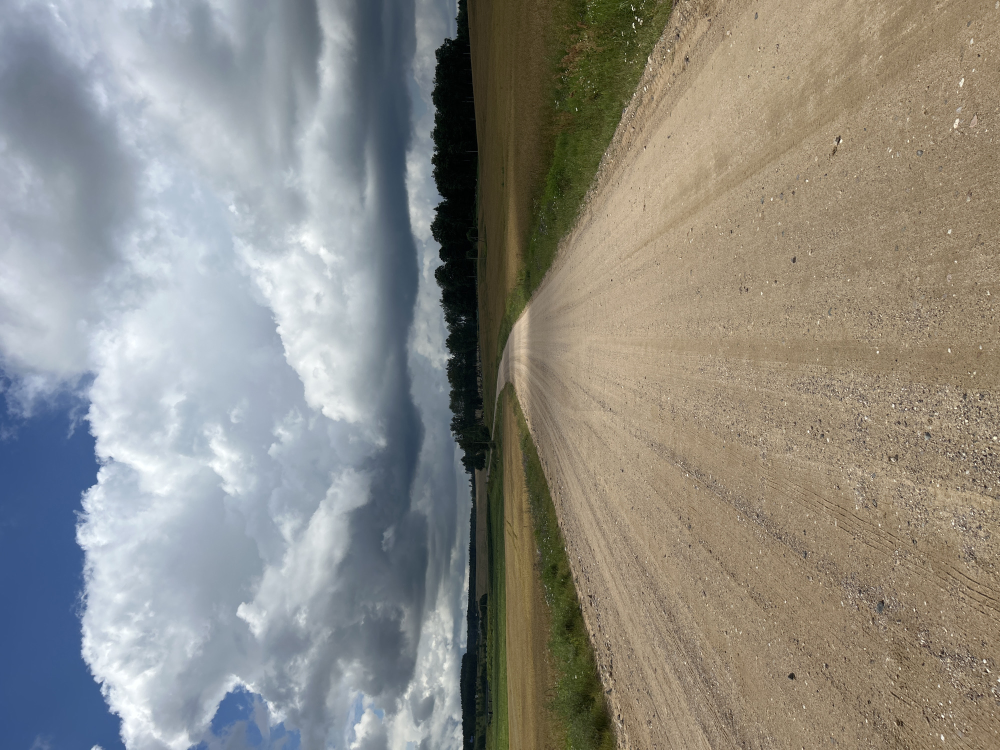 The image shows a dirt road curving through a rural landscape under a dramatic sky filled with dark, heavy clouds. The road is a light brown color, with visible tire tracks and small stones scattered across its surface. To the left and right of the road are fields of dry, golden grass, likely a crop such as wheat or barley, with some scattered green vegetation along the edges. In the distance, a dark line of trees forms a horizon, punctuated by a few scattered buildings and a glimpse of more distant, rolling hills. The sky dominates the upper portion of the image, with a mix of bright white cumulus clouds and dark, ominous storm clouds. The overall impression is one of a vast, open rural area on a day with potentially turbulent weather. The scene is devoid of people or any discernible action.