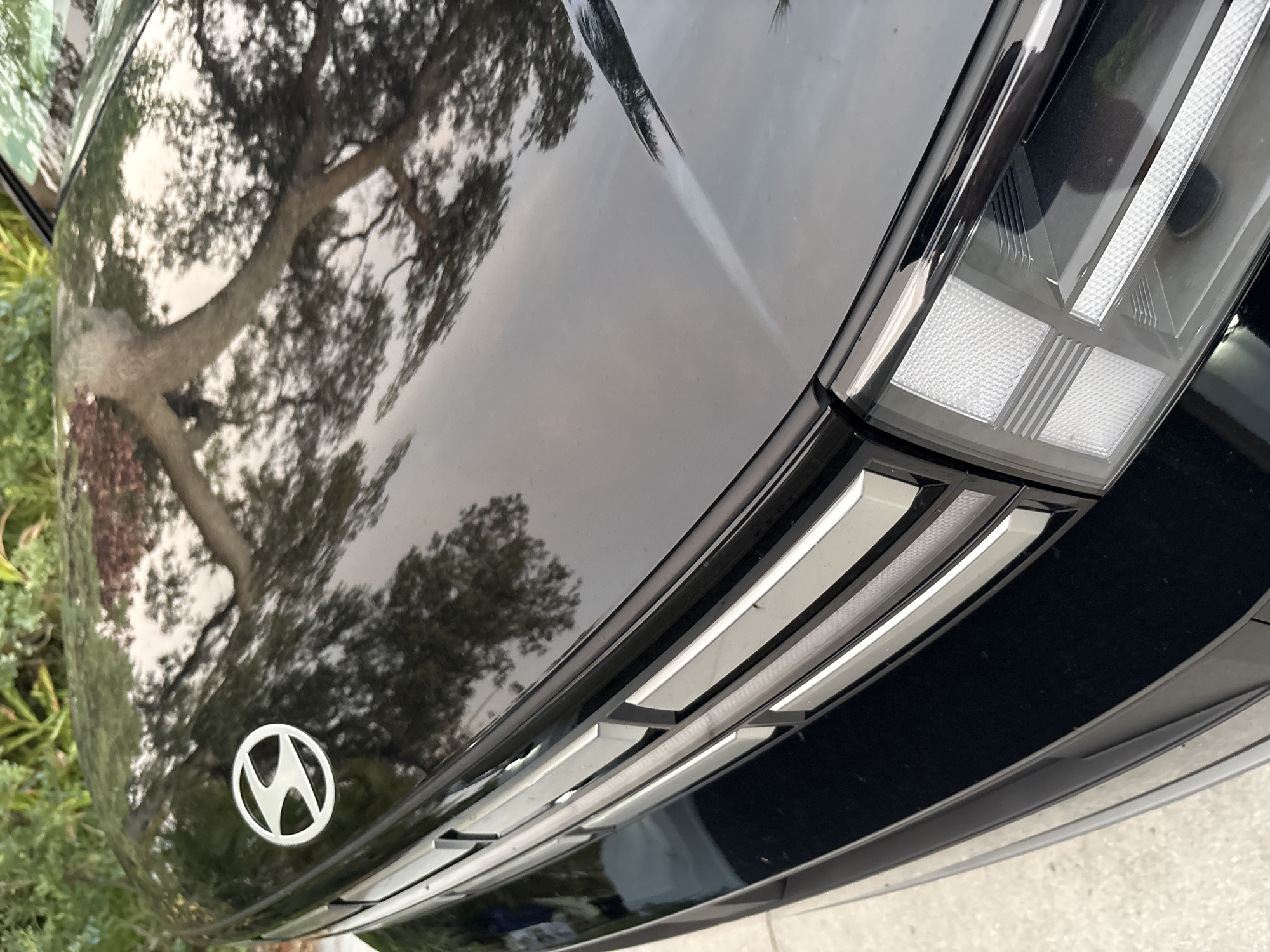 A close-up, slightly angled shot shows the front of a black car, focusing on the hood emblem and the headlight assembly. The car's hood is highly reflective, mirroring a tree with prominent branches, suggesting it is outdoors. A silver emblem with a circular design and an "S" shape is visible on the left side of the hood. Below the emblem, a portion of the car's grille features horizontal chrome accents. The right side of the image shows a detailed view of the car's headlight, which has a modern, geometric design with textured internal elements and illuminated sections. The surrounding environment includes greenery and what appears to be pavement, indicating an exterior setting. No people are visible in the image.