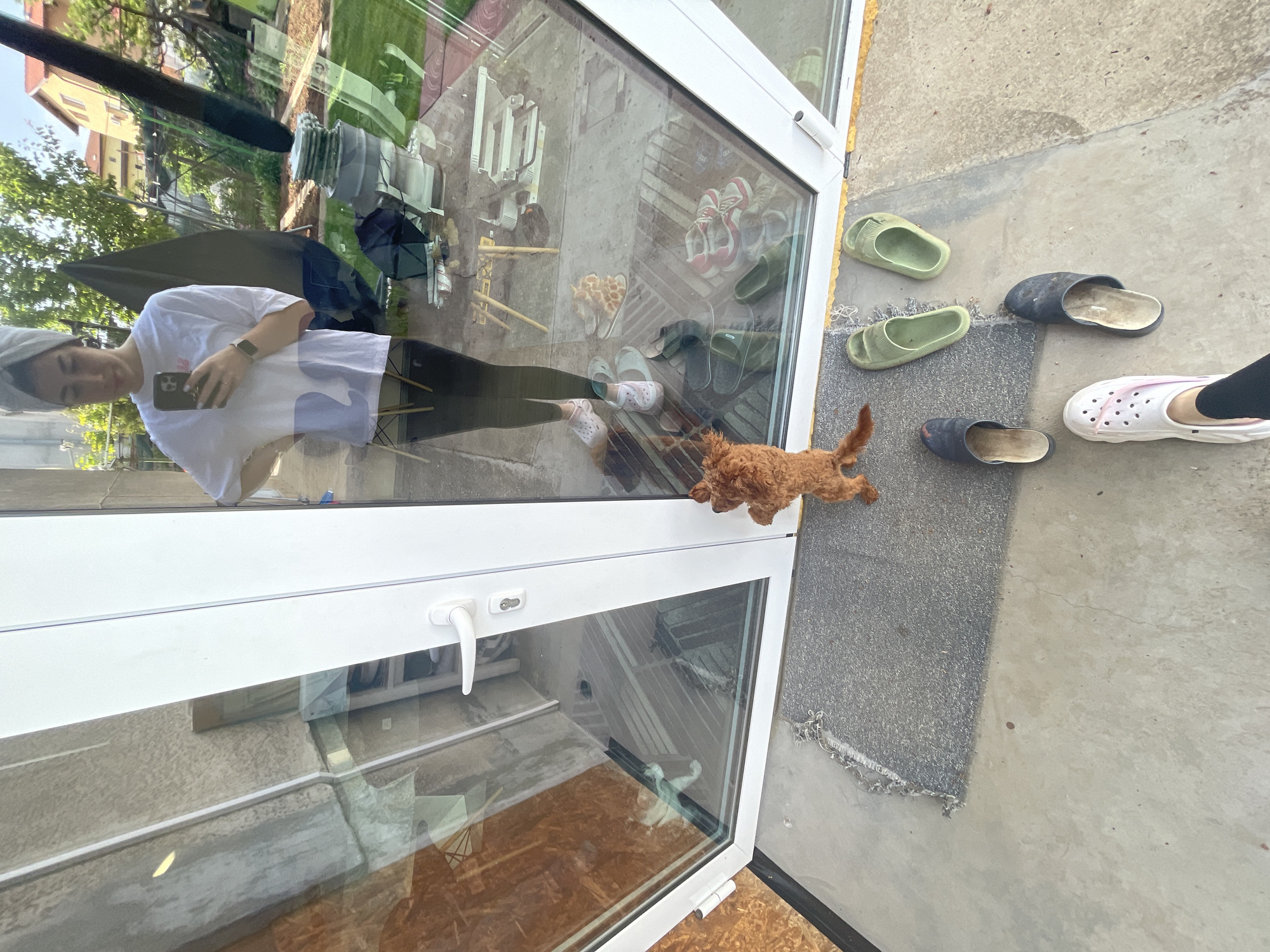 A slightly high-angle shot depicts a glass door ajar, reflecting a person in a white shirt and black pants holding a smartphone. The reflection also shows trees and buildings, suggesting an outdoor setting. Outside the door, a brown, small dog is running, with several pairs of shoes placed randomly near the door. The ground outside the door is concrete. The photograph does not provide information about Sofia, Bulgaria.