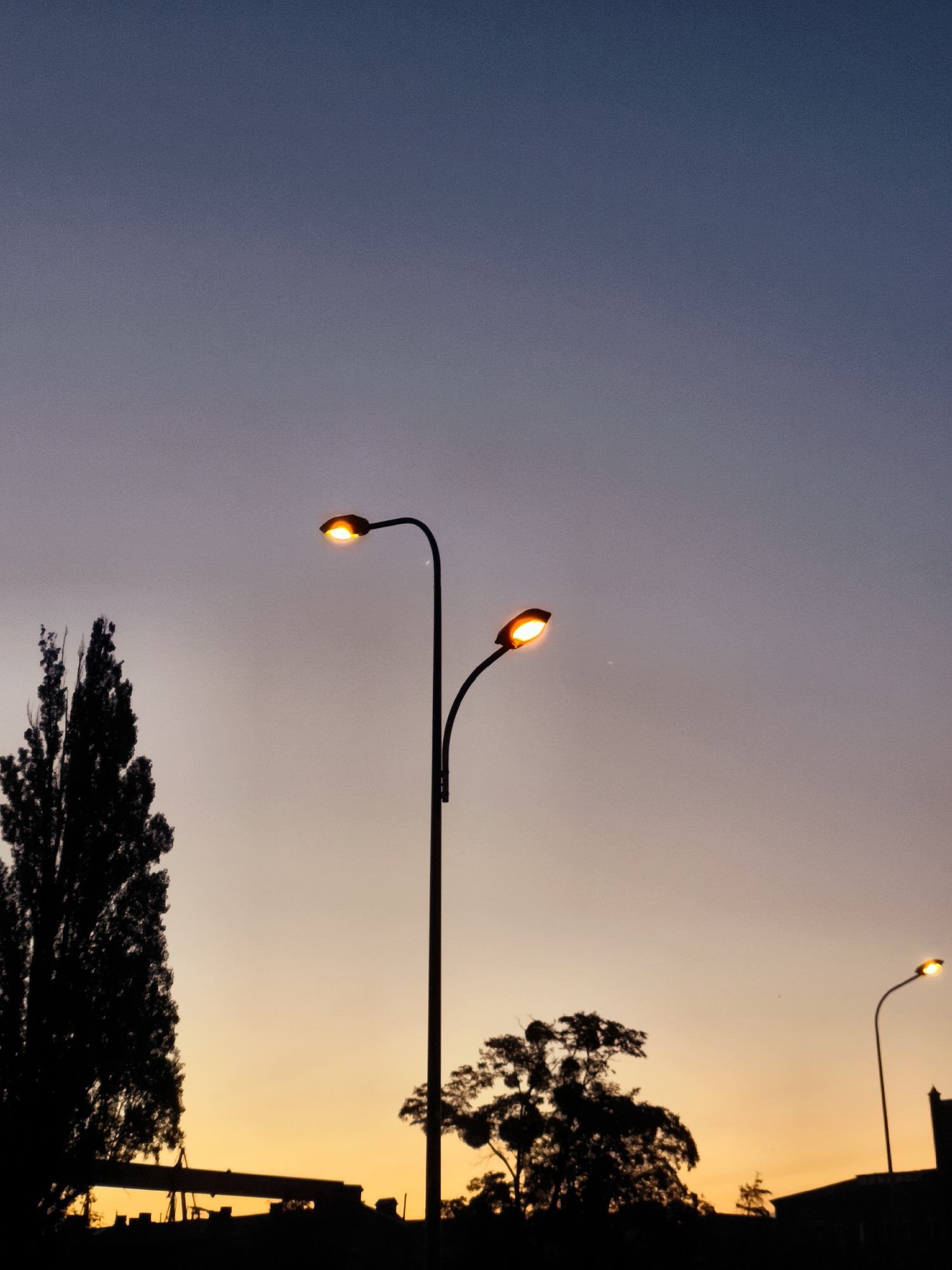 This is a vertical, medium shot photograph taken at dusk in Gdańsk, Poland. The sky transitions from a deep blue at the top to a gradient of purple and orange towards the horizon. Two streetlights, illuminated with warm yellow light, are prominent in the mid-ground. The streetlight on the left is a double-headed lamp, while the one on the right has a single head. Silhouetted against the sky are the tops of trees, including a tall, narrow tree on the left and a more spread-out tree to the right. In the foreground, the silhouettes of buildings and what appears to be a construction crane are visible, suggesting an urban or industrial setting within the city. There are no people visible in the image. The overall atmosphere is serene and quiet.