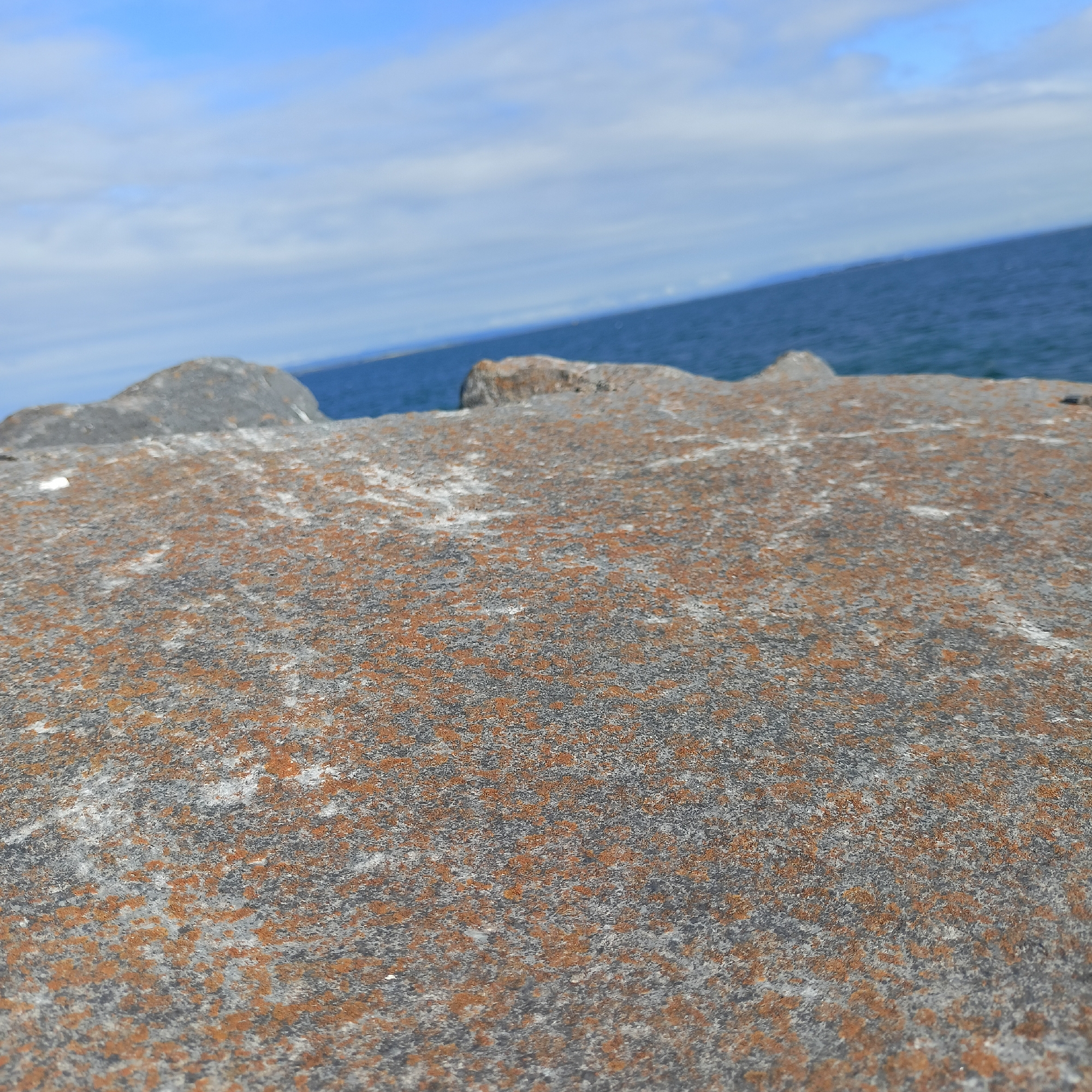 The image is a close-up, low-angle shot of a textured rock surface with patches of rust-colored lichen or moss. In the background, out of focus, is the blue water of the Atlantic Ocean and a sky with scattered clouds. The scene is likely located on the Salthill Promenade in Galway city, Ireland, where similar rocky coastal paths are common. No people or actions are visible, focusing instead on the natural elements of the environment.
