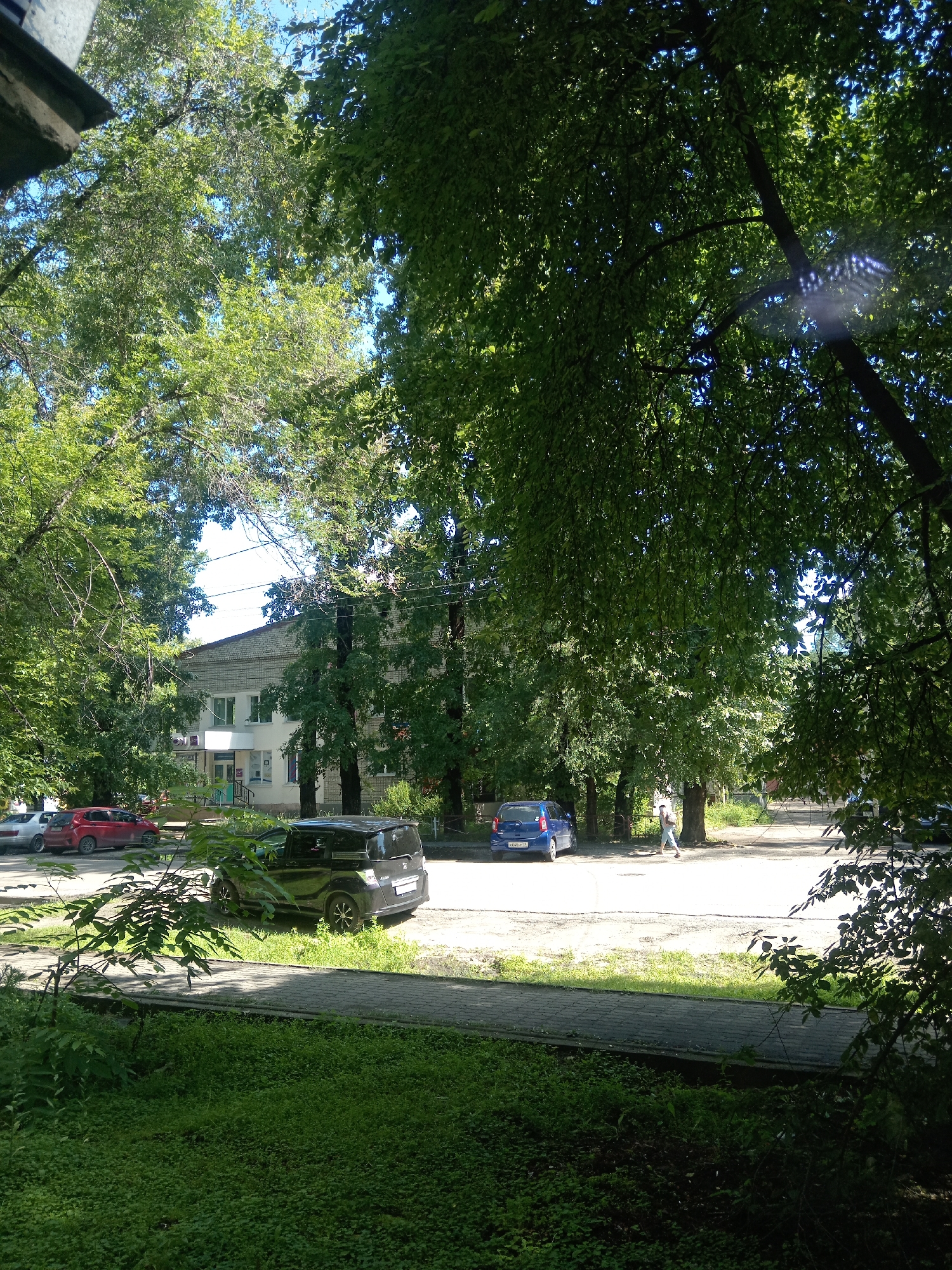 The image depicts a street scene in Belogorsk, Russia, bathed in sunlight filtering through lush green trees. In the foreground, a paved walkway runs along a grassy area. Beyond the walkway, several cars are parked on the side of a paved road. A dark-colored minivan is parked prominently, with a red sedan and a silver sedan visible further down the street. In the background, a multi-story building, likely an apartment complex or office building, stands behind a row of trees. A person is walking on the sidewalk in front of the building, partially obscured by trees. The overall environment suggests a residential or mixed-use urban area with significant tree cover, indicative of a typical summer day in this region.