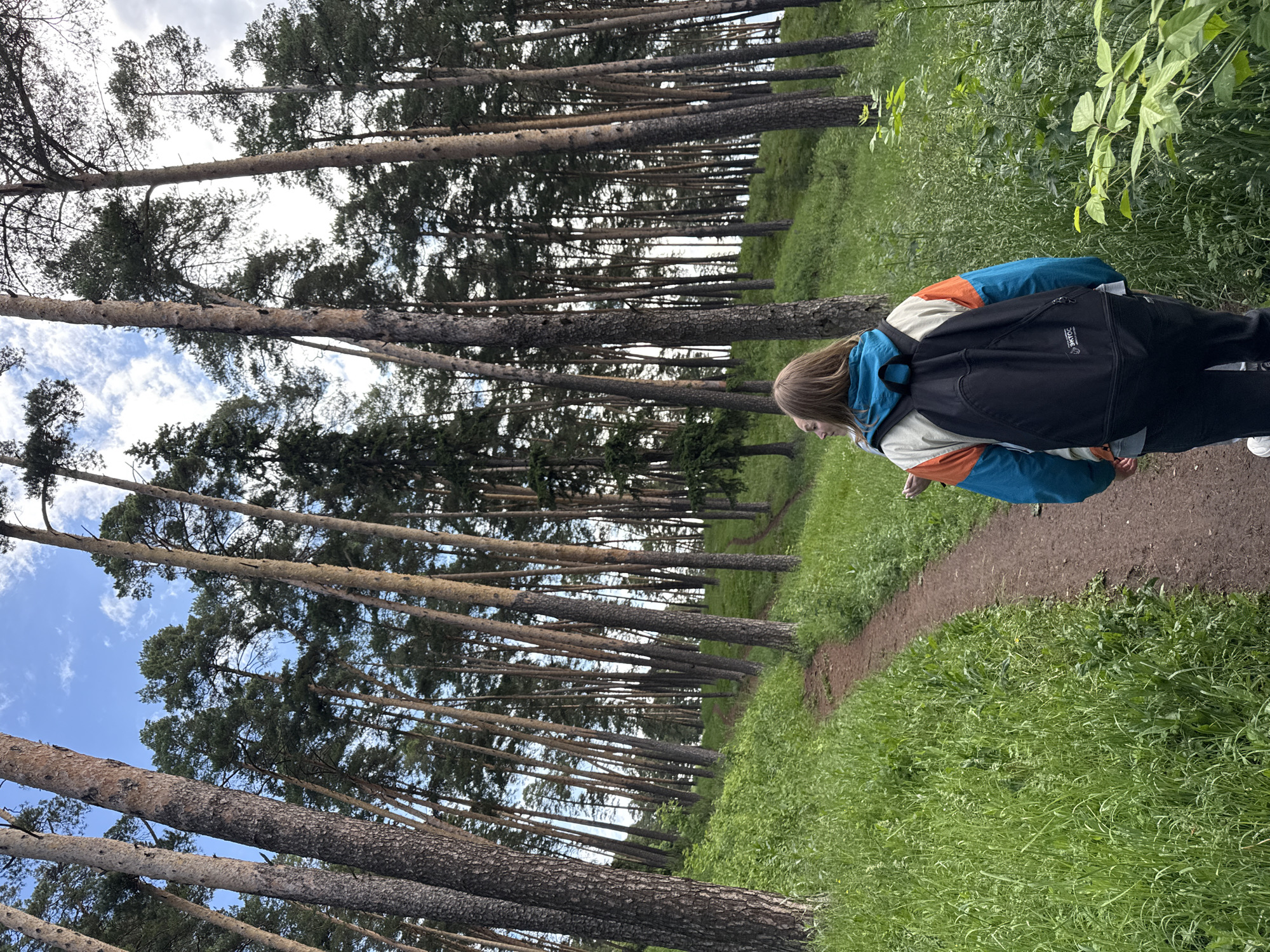 The image depicts a forest scene in Sarapul, Russia, viewed from a low angle looking upwards along a dirt path. In the immediate foreground, a person is walking away from the camera on a narrow, reddish-brown dirt path that curves gently to the left and ascends a mild incline. This individual has medium-length light brown hair and is wearing a multi-colored windbreaker jacket (blue, orange, and off-white/beige sections) over dark pants. A black backpack with a white logo, appearing to be Cyrillic "ЭКТОС," is worn on their back. A second person is partially visible behind and to the left of the primary subject's head, also walking along the path.
The environment is a dense forest dominated by tall, slender coniferous trees, primarily pines, with rough, textured brown and grey trunks. The trees stand on rolling hills covered in lush, bright green grass and various undergrowth. The path winds through this green landscape, with tree trunks lining both sides of the slopes. Above the tree canopy, patches of clear blue sky with scattered white clouds are visible, indicating daytime. The lighting is natural and appears to be diffused, suggesting a partly cloudy condition. The overall scene conveys a natural, outdoor setting, likely a park or nature reserve within the specified city.