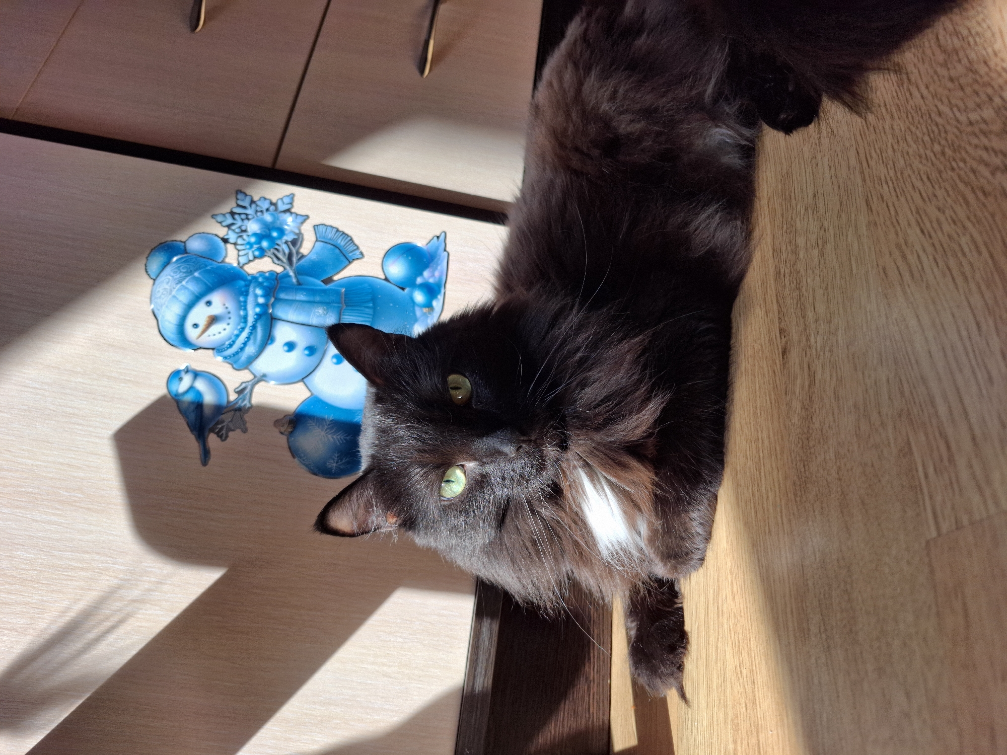 A long-haired black cat with a small white patch on its chest lies on a wooden surface, possibly a floor or table. The cat's head is positioned on the left side of the frame, with its green eyes looking directly at the camera. A blue snowman sticker with snowflakes and birds is next to the cat on a lighter colored wooden surface, possibly a cabinet or drawer. The scene is well-lit, with natural light casting a shadow from the snowman sticker onto the background. The location is Chaikovsky, Russia.